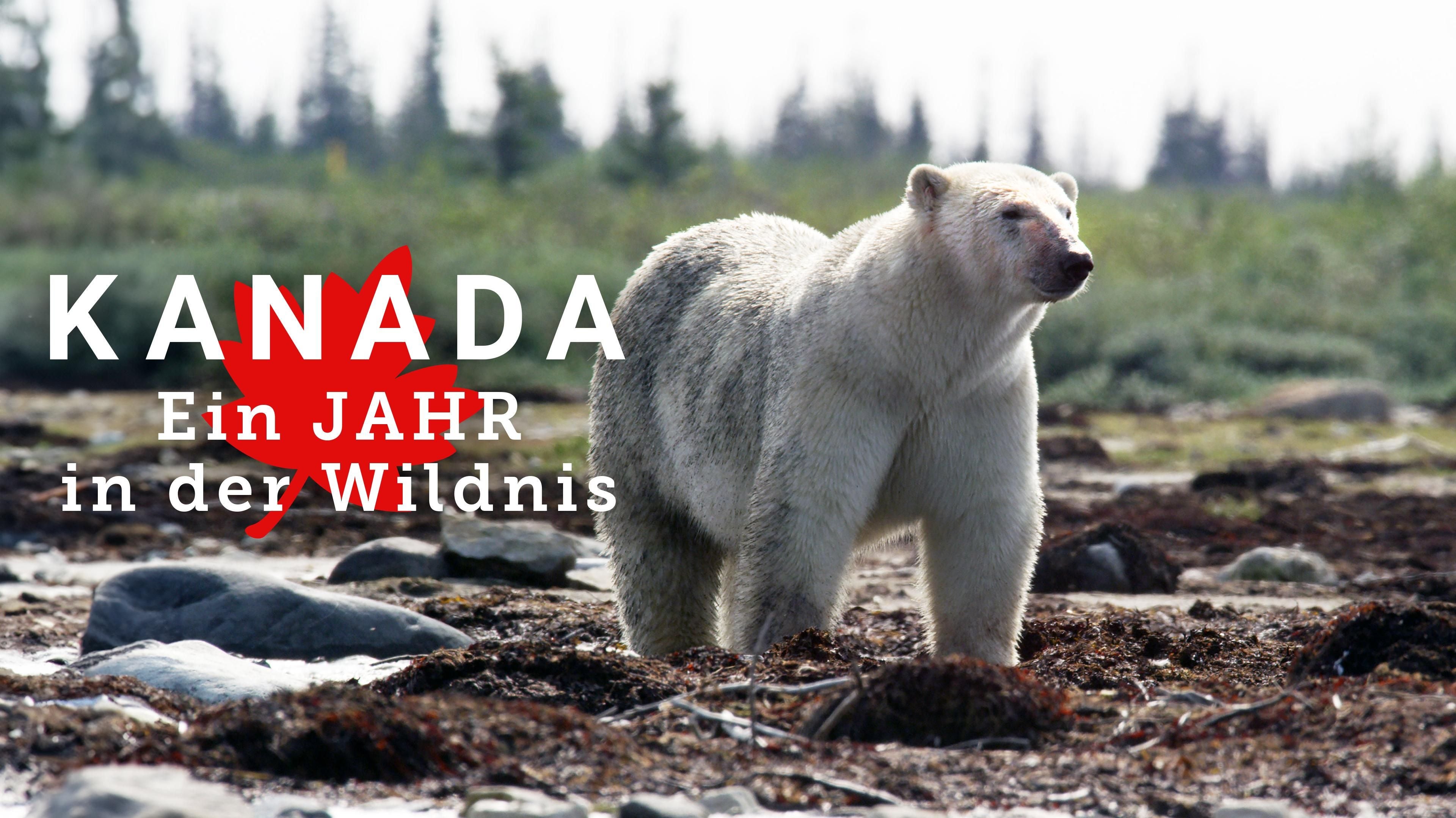Kanada: Ein Jahr in der Wildnis