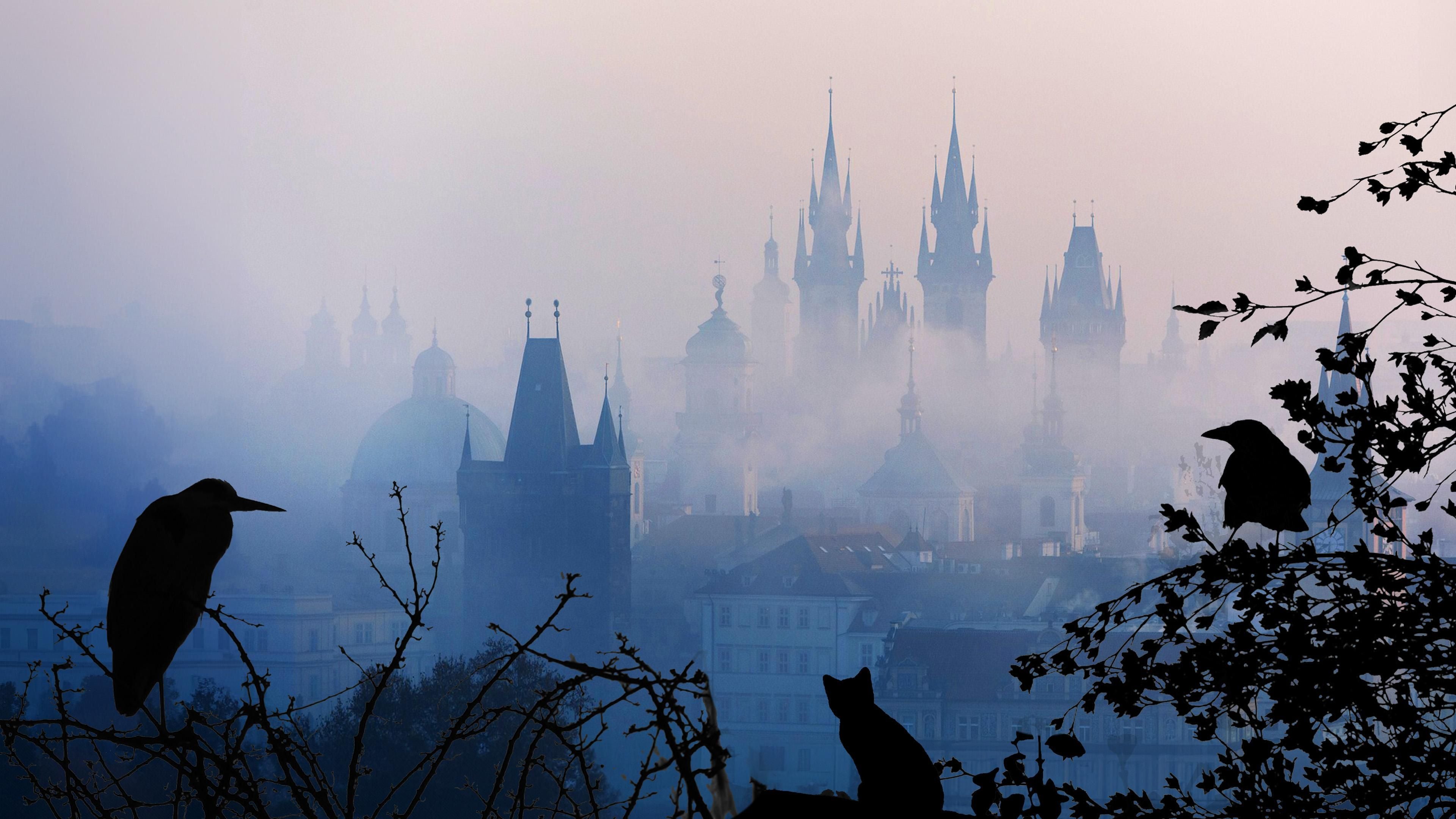 Wildes Prag
