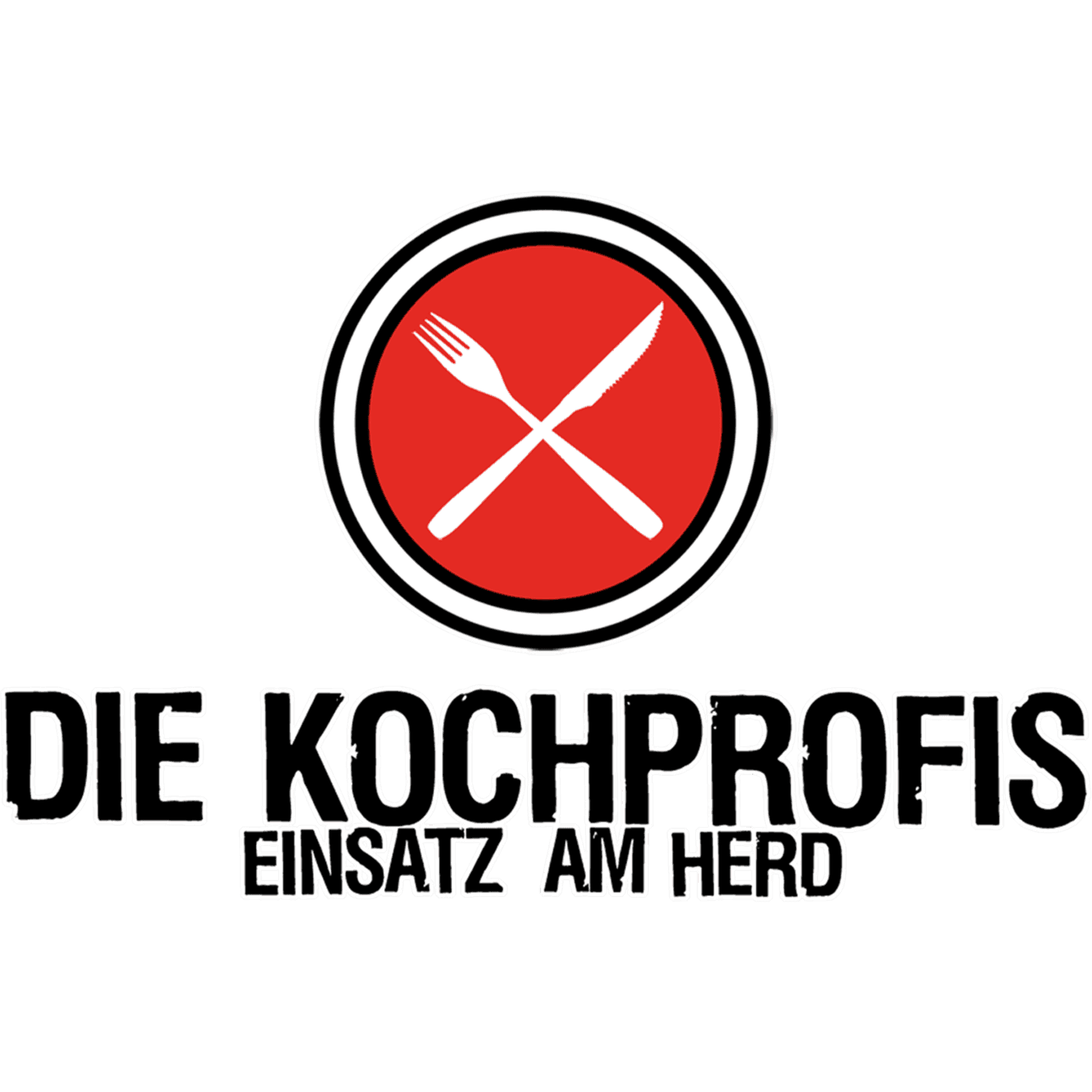 Die Kochprofis - Einsatz am Herd