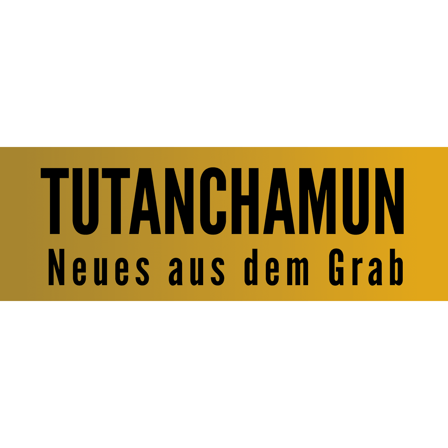 Tutanchamun - Neues aus dem Grab