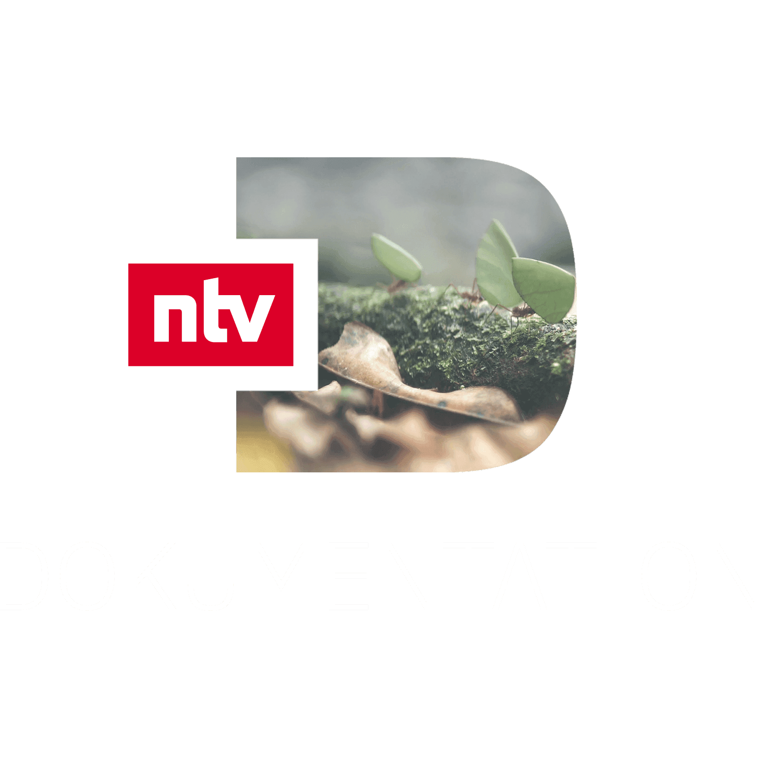 ntv Dokumentation
