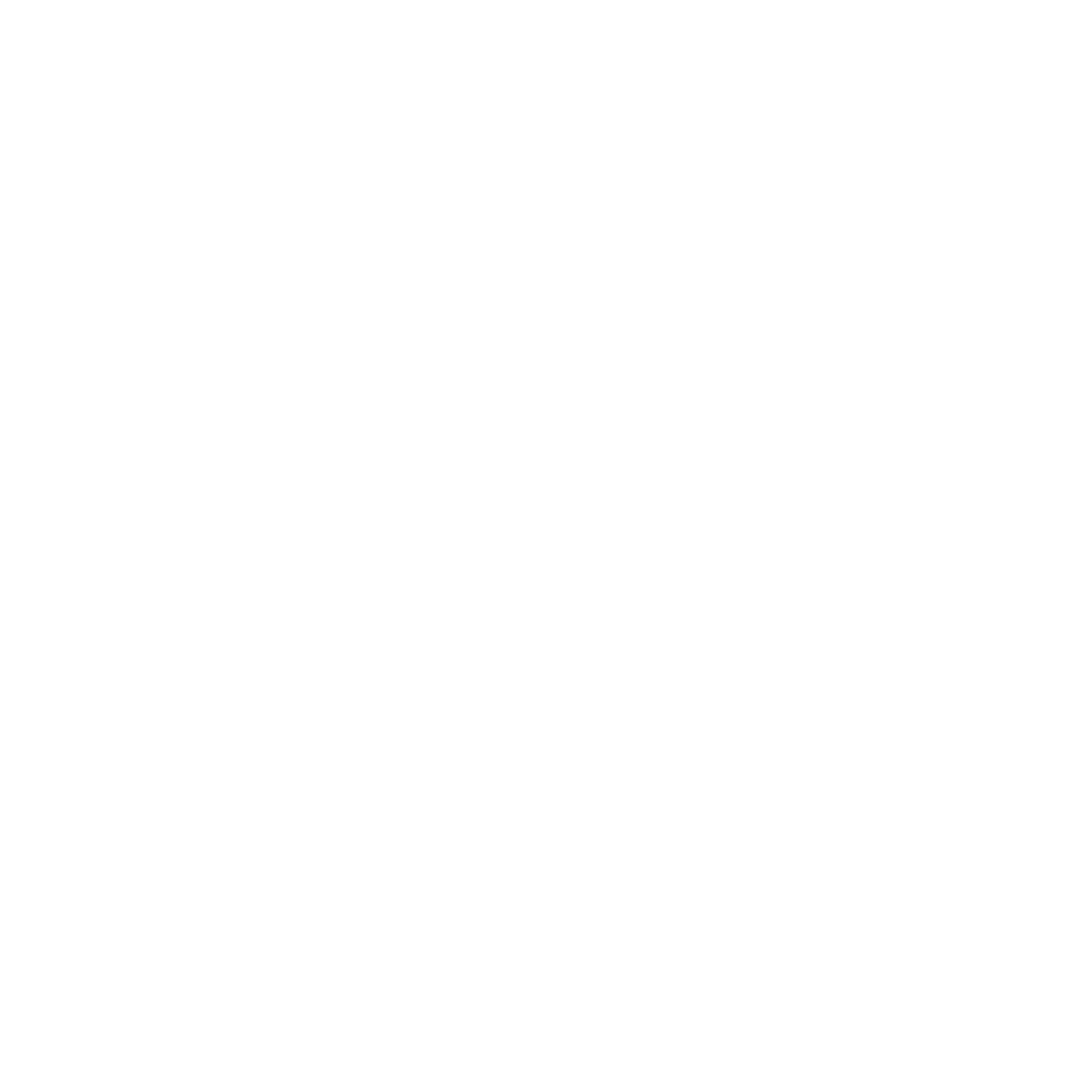 21 Bridges