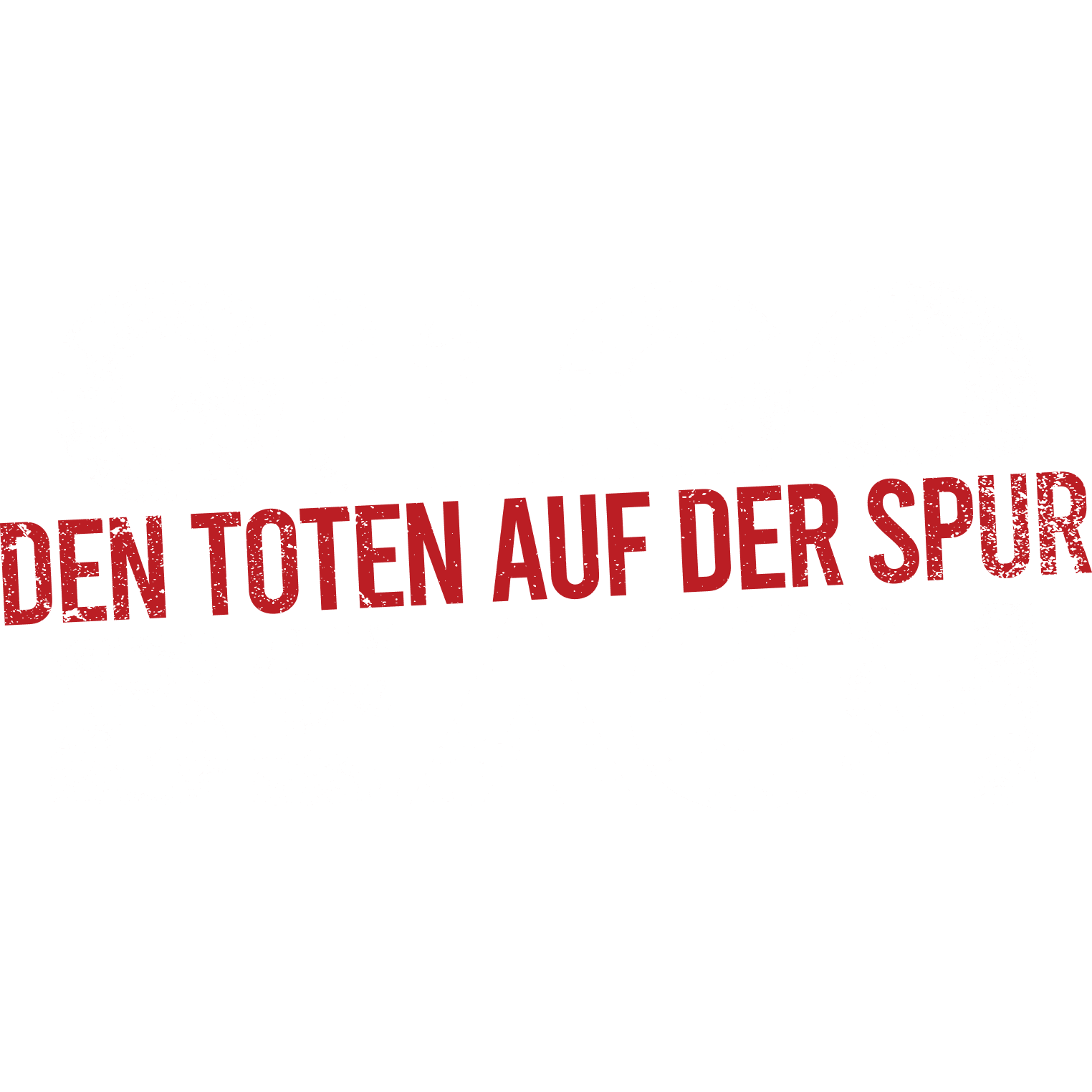 Gilgo Beach - Den Toten auf der Spur