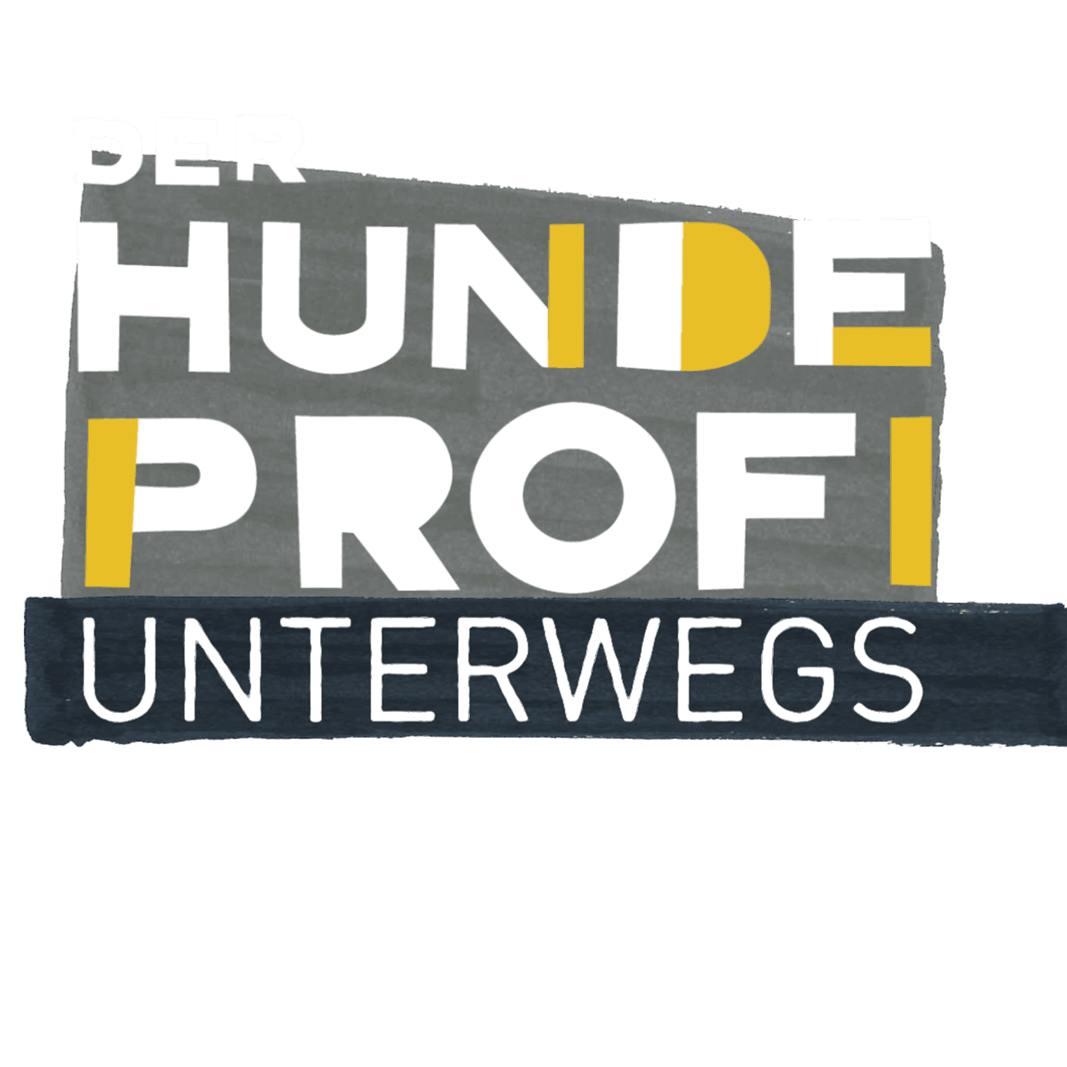 Der Hundeprofi unterwegs