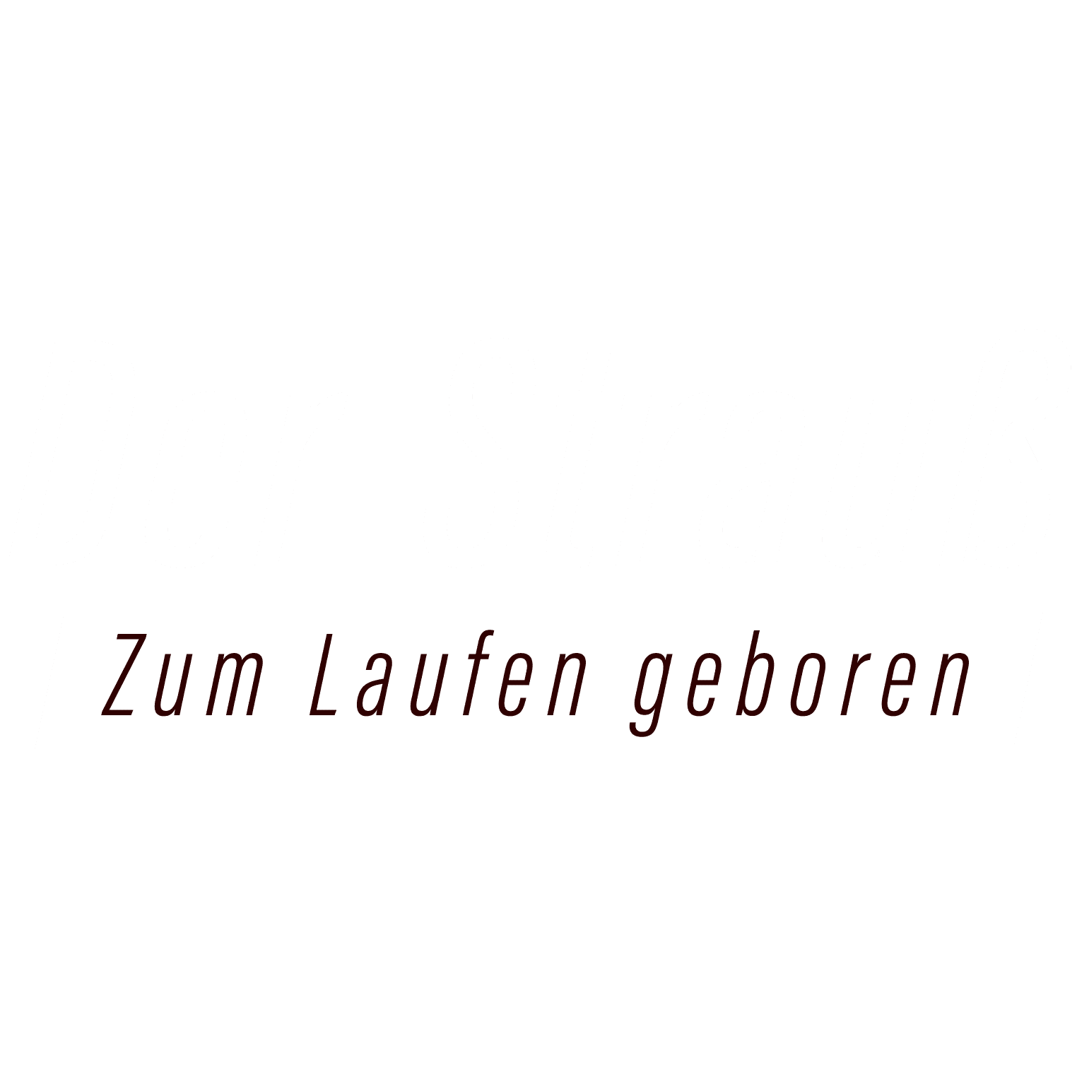 Der Strauß - Zum Laufen geboren