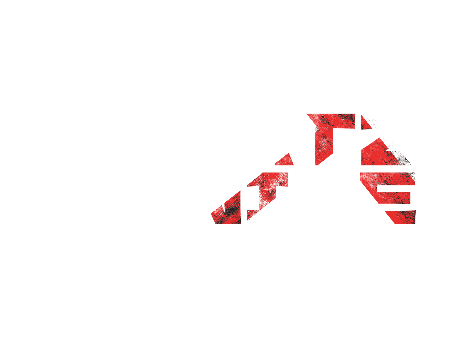 Bolzplatzkönige - Mein Weg zum Profi