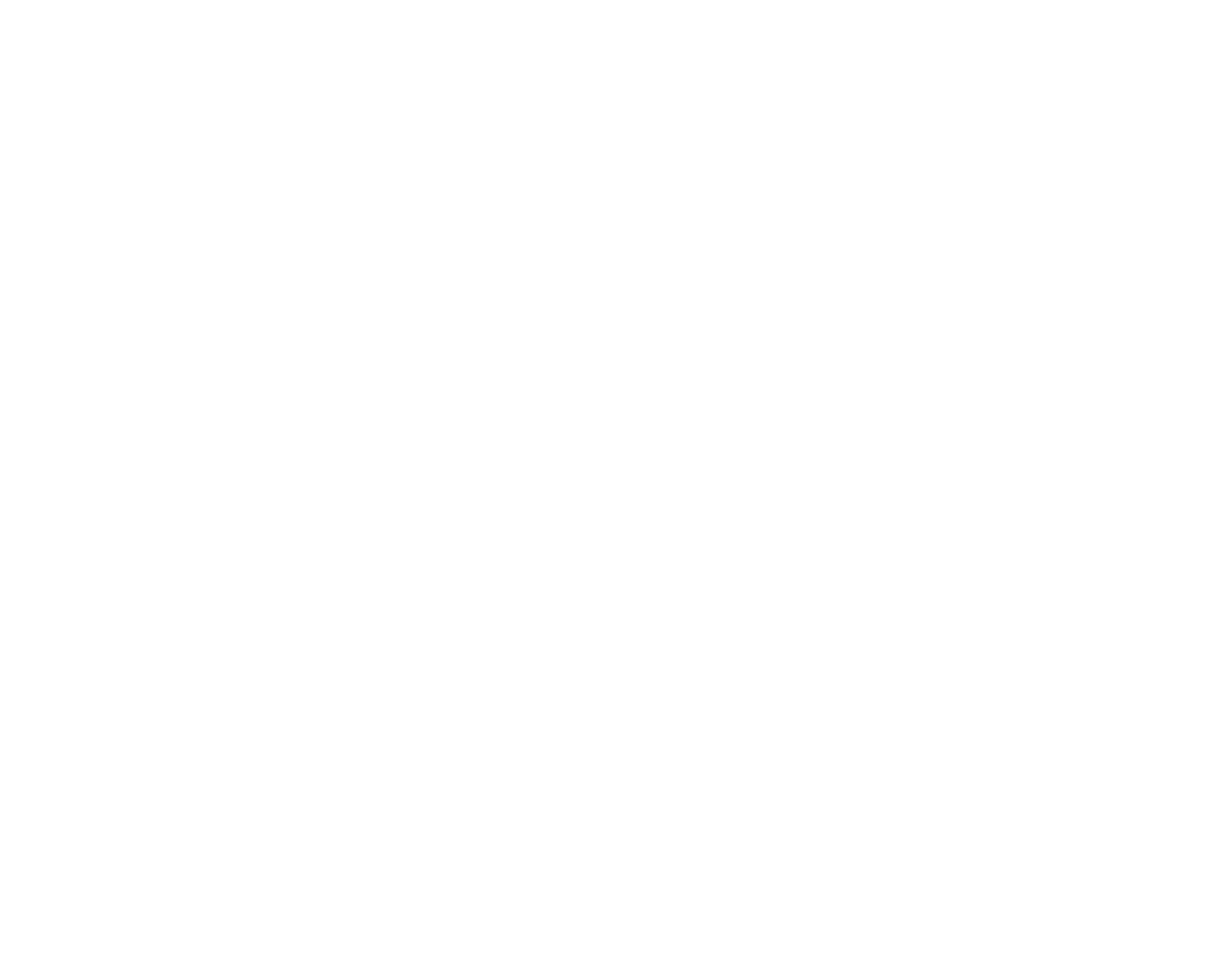 The Investigation