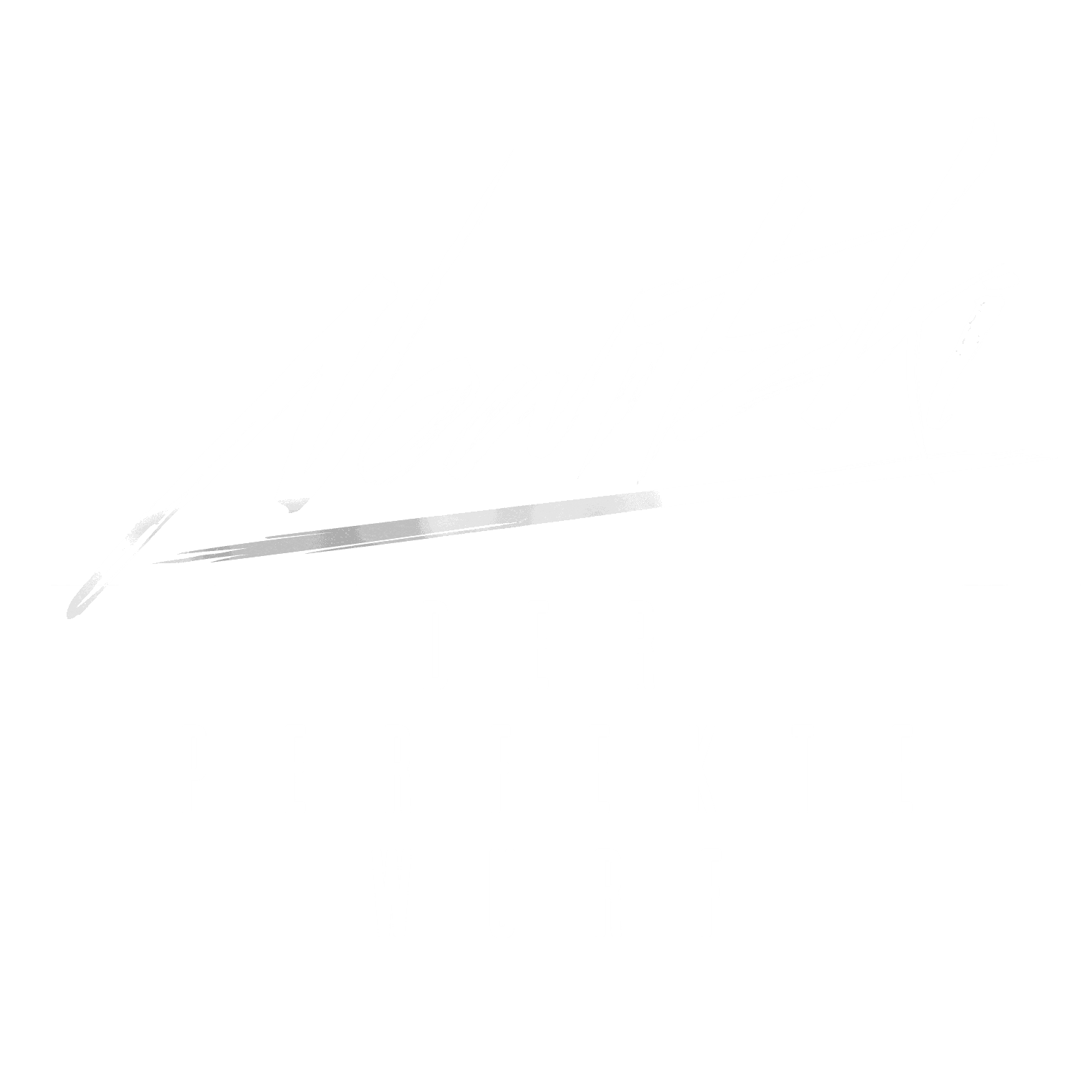 Nowitzki - Der perfekte Wurf