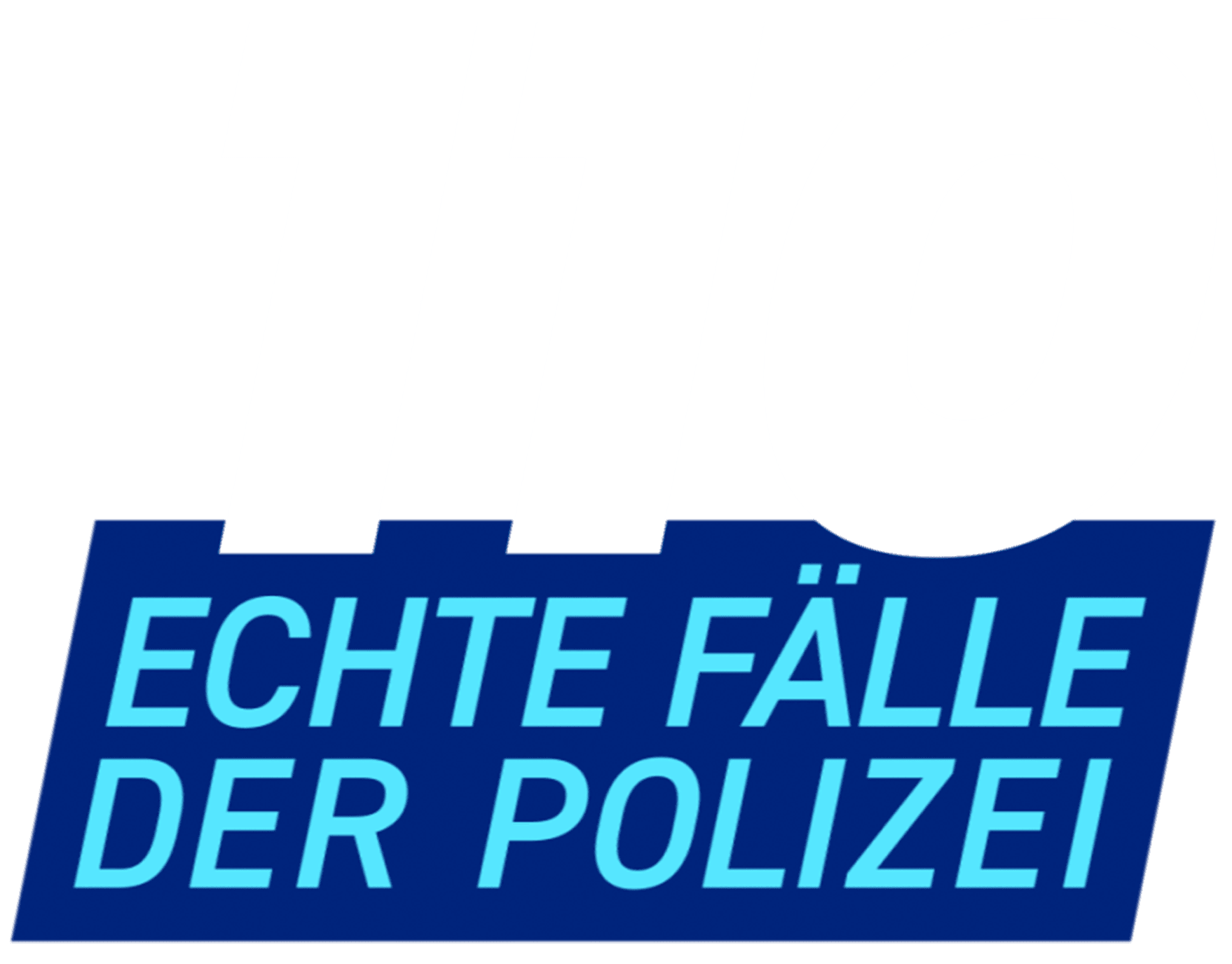 110 - Echte Fälle der Polizei