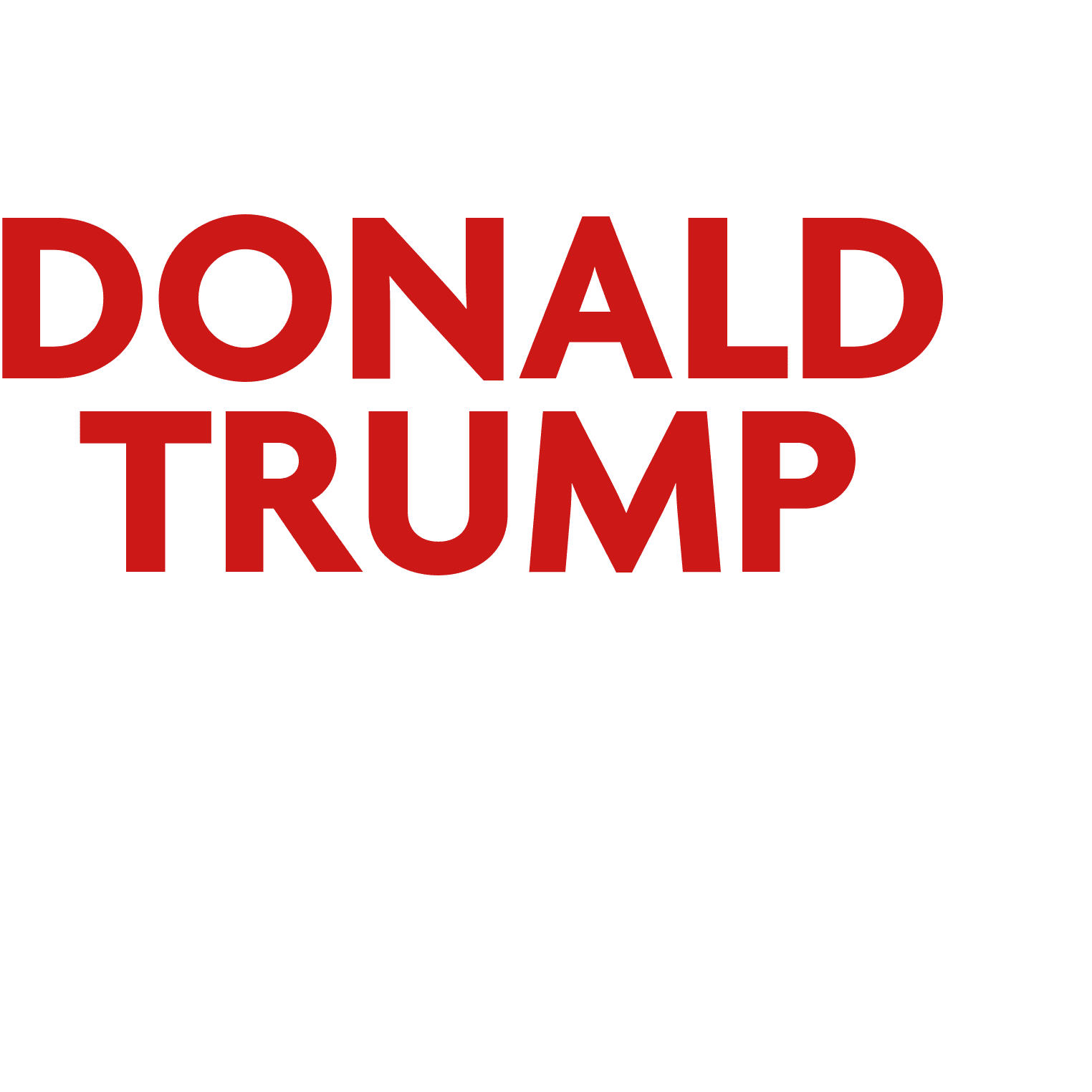 Donald Trump - Kampf ums Weiße Haus