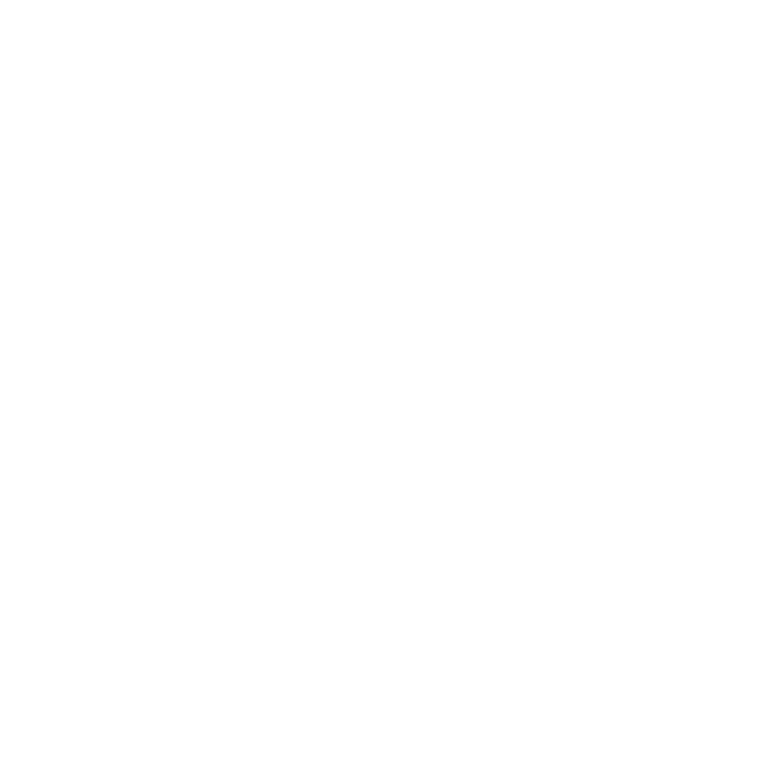 Tom Brady - In der Arena