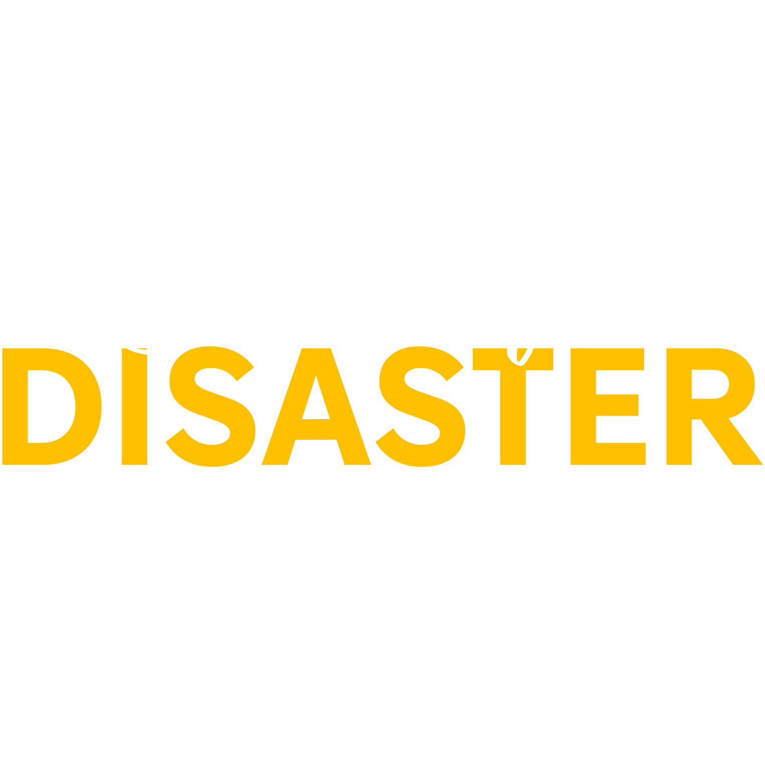 Beautiful Disaster