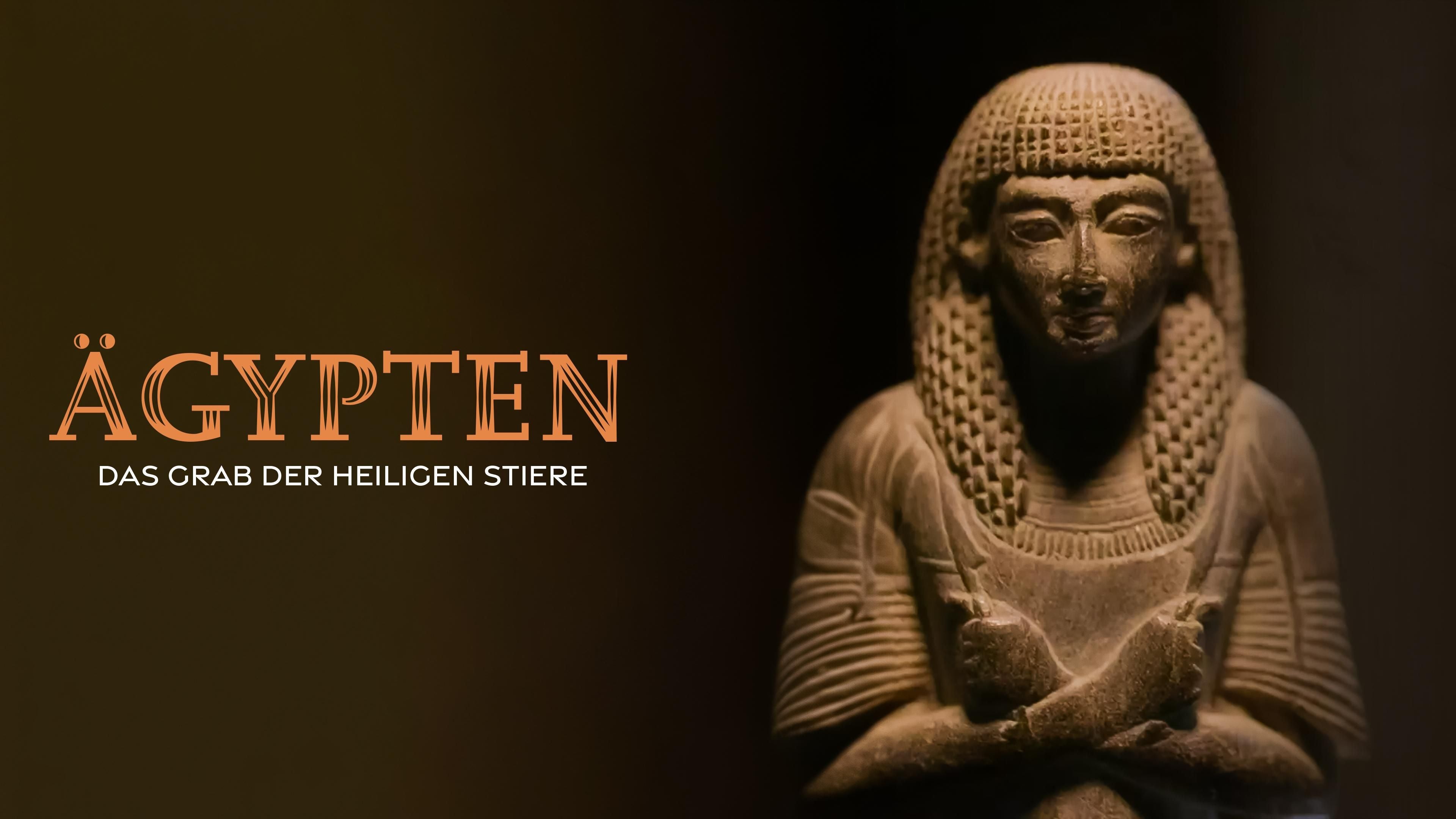 Ägypten - Das Grab der heiligen Stiere