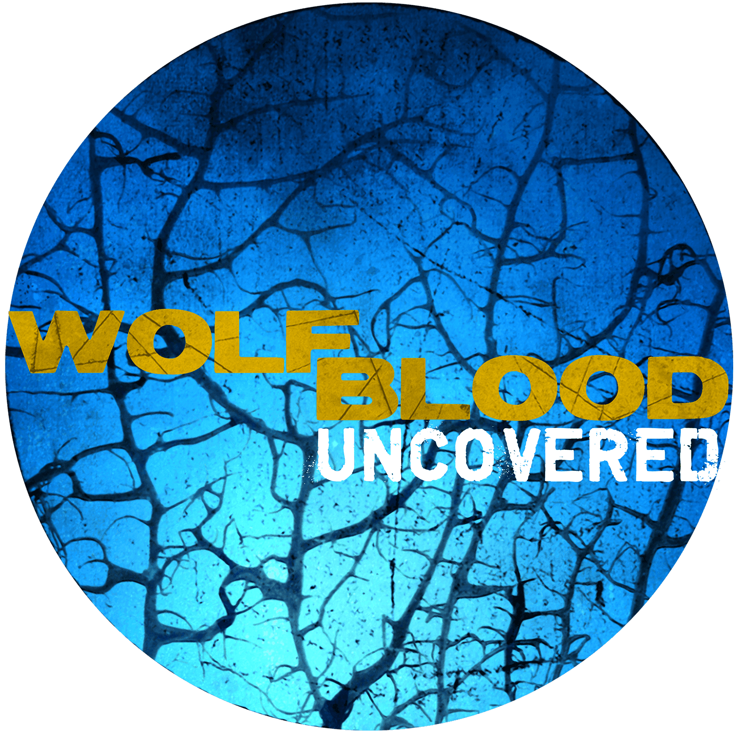 Wolfblood Entschlüsselt