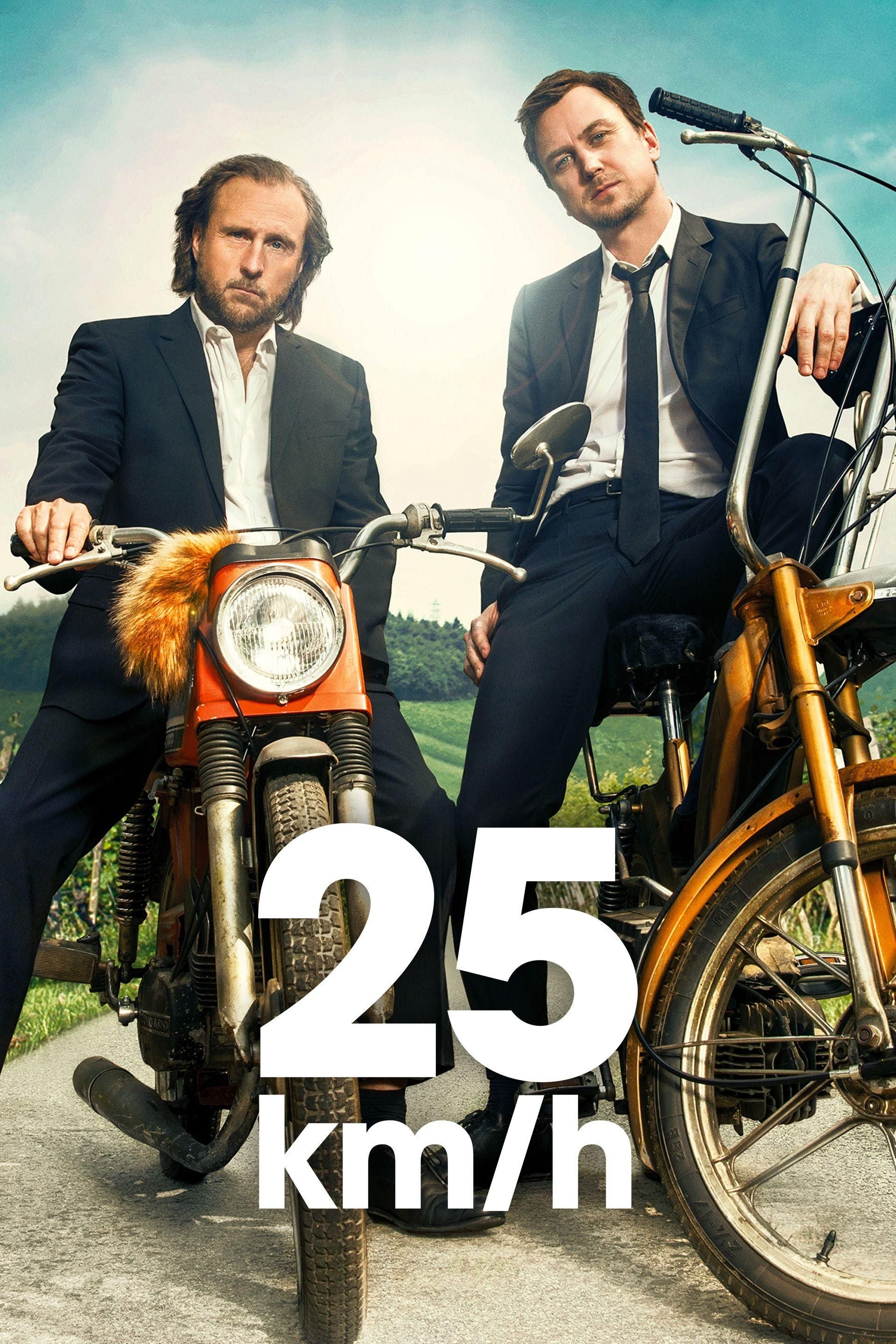 25 km/h