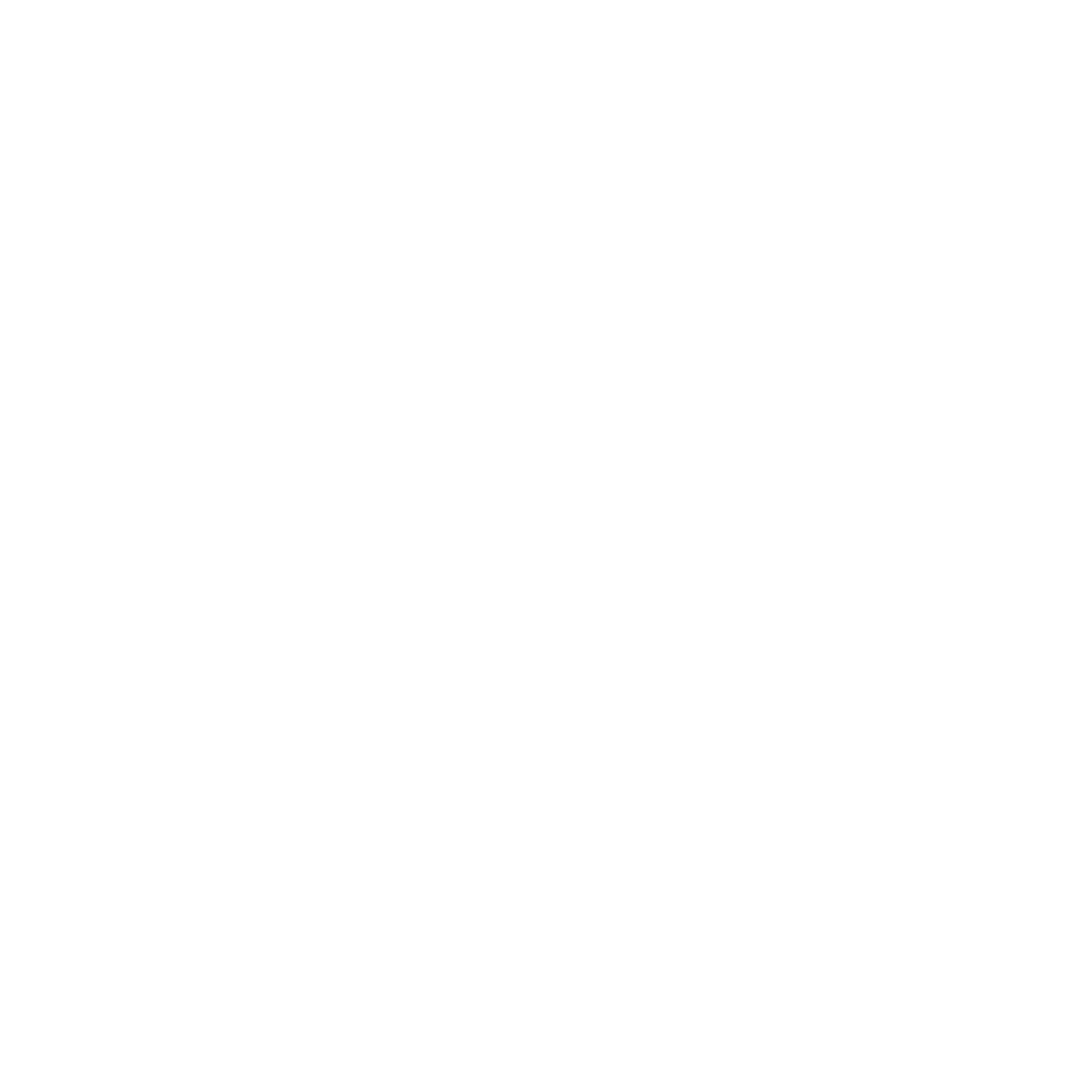 25 km/h