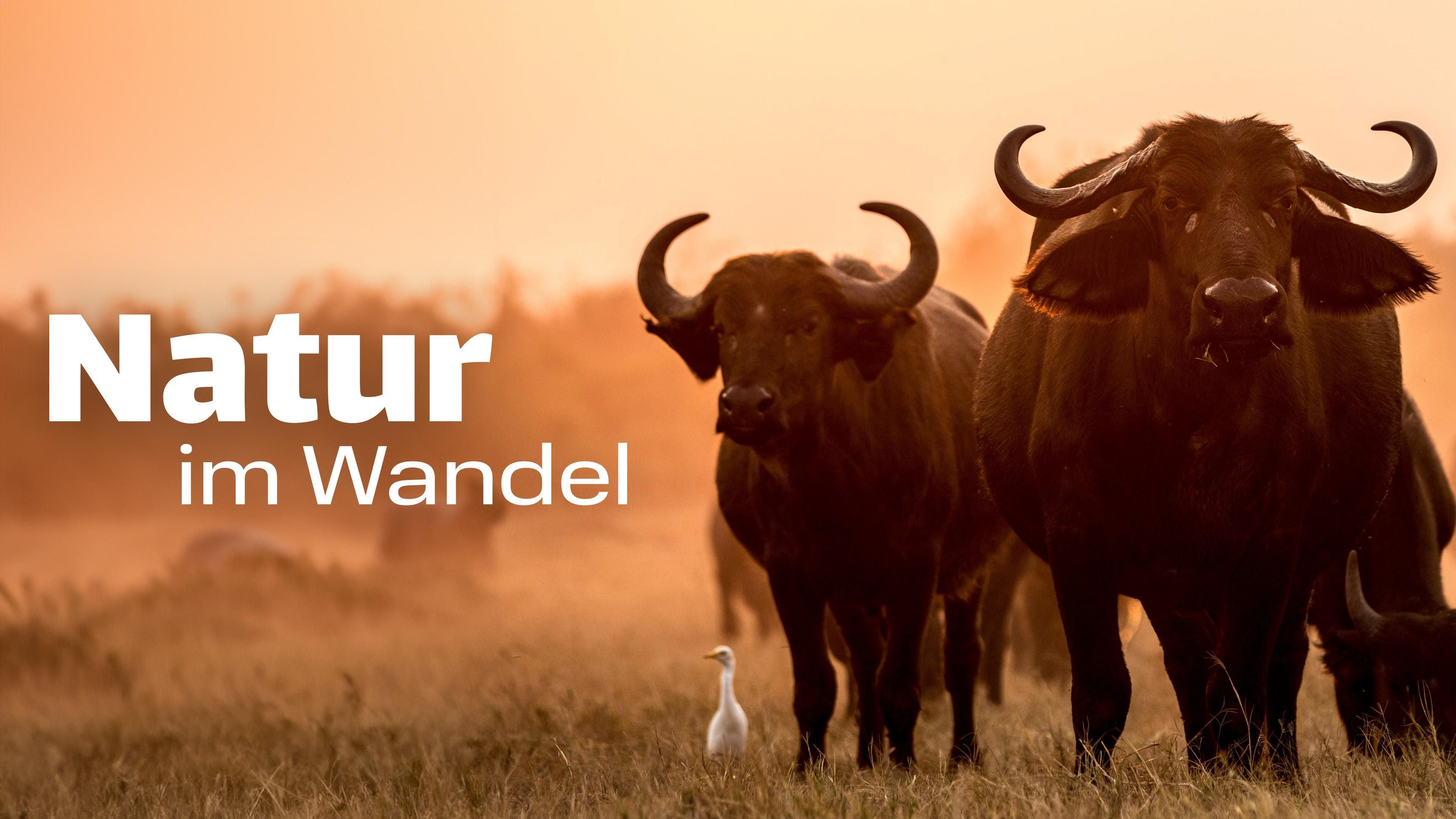 Natur im Wandel