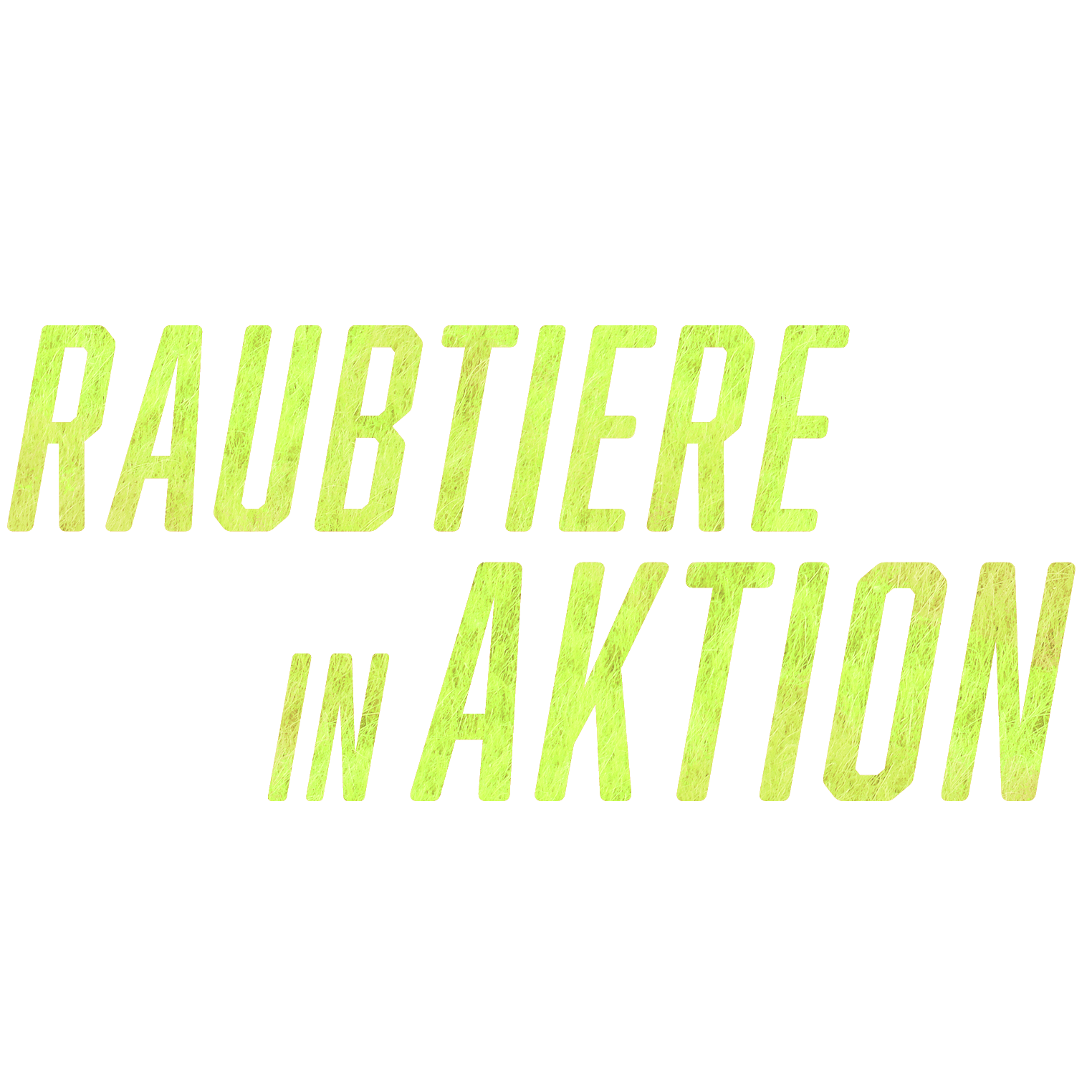 Raubtiere in Aktion