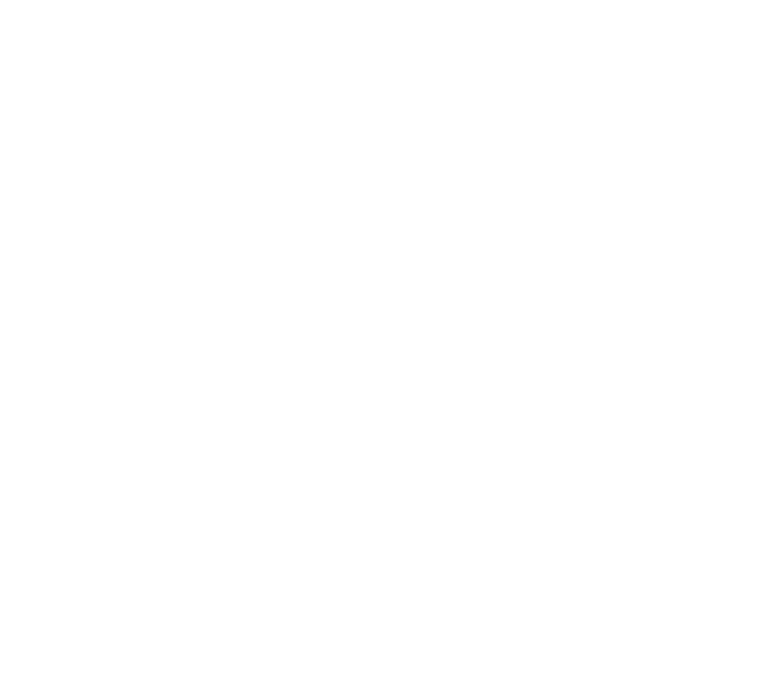 Die Rettungsflieger - Hilfe aus der Luft
