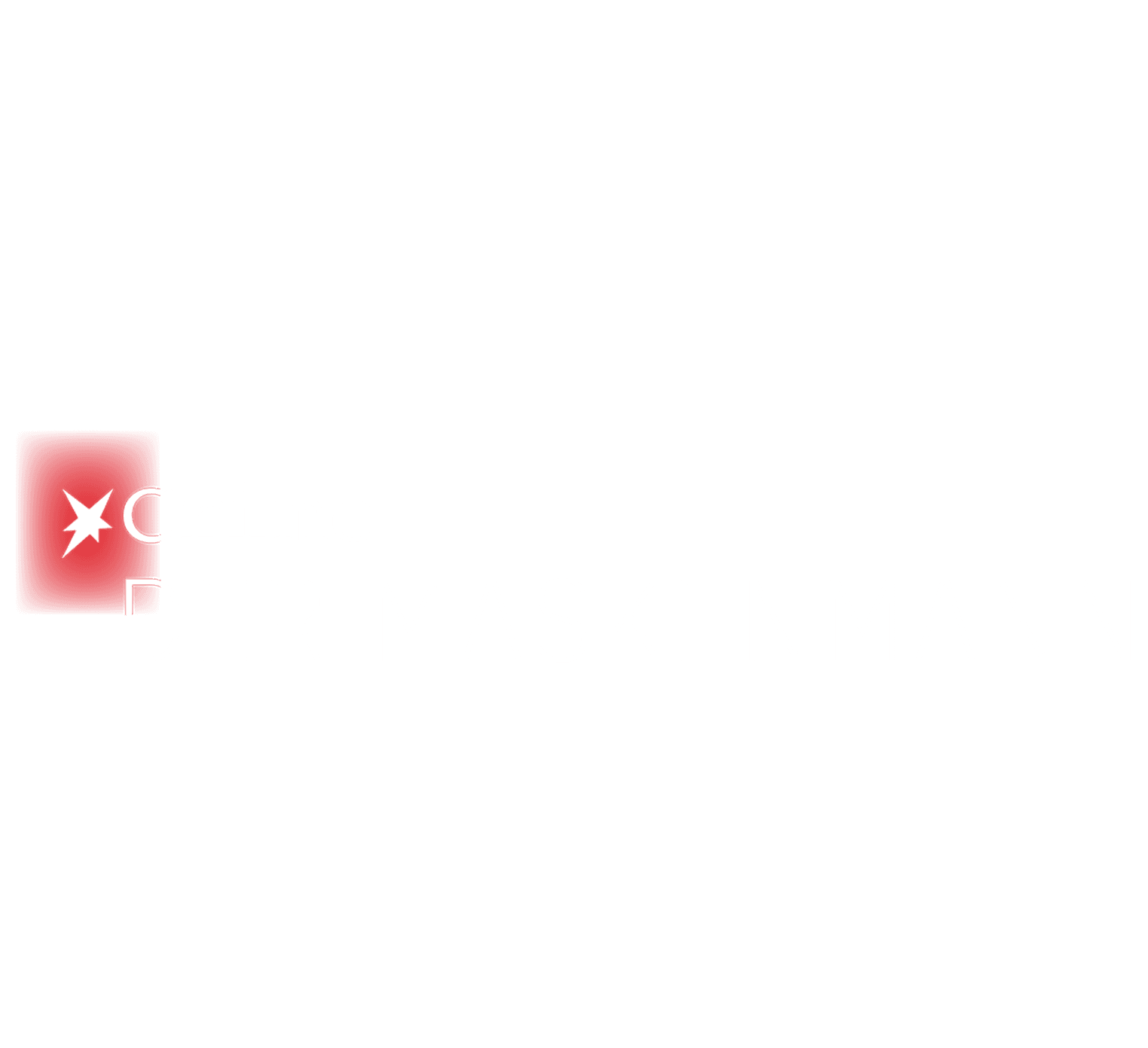 STERN CRIME: Der Maskenmann