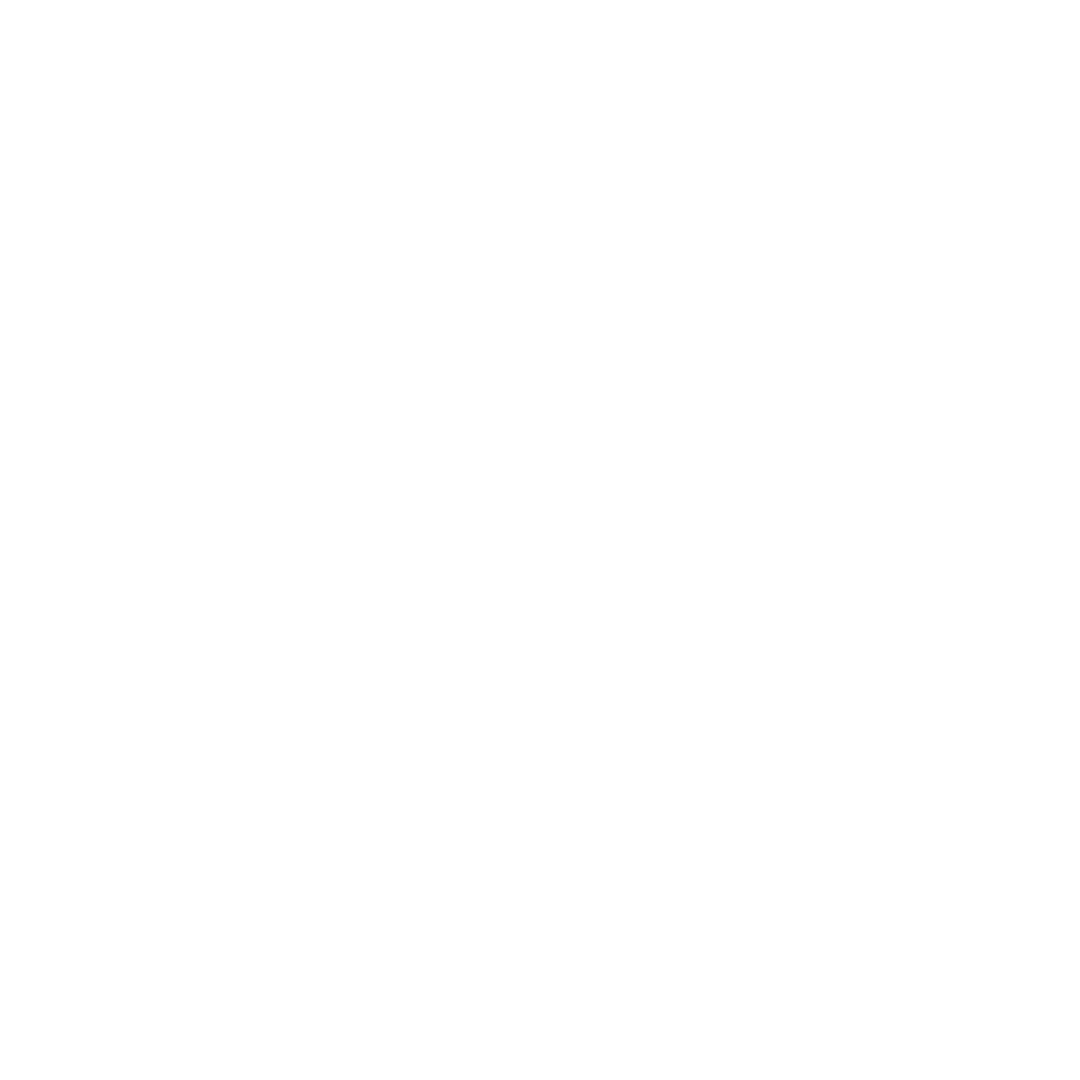 Die wunderbare Welt der Waschbären