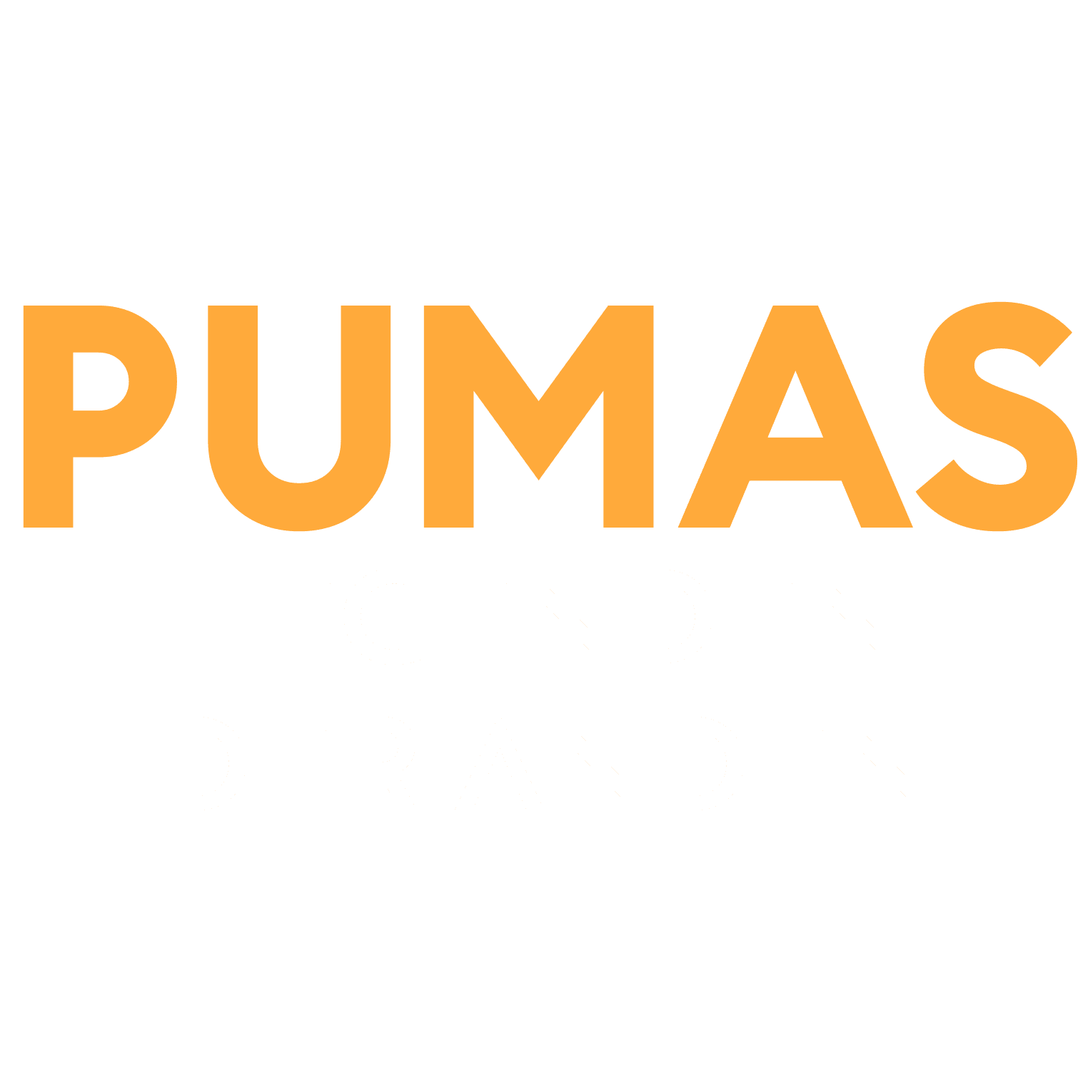 Pumas - Legenden der Anden