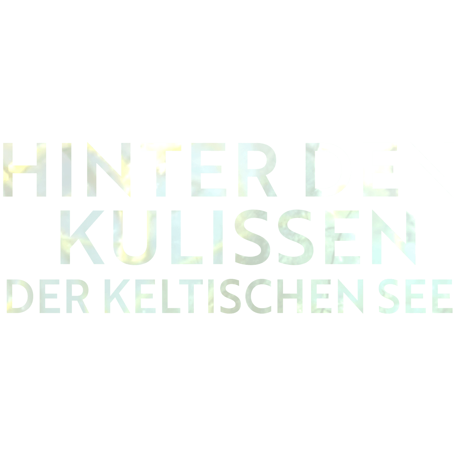 Hinter den Kulissen der Keltischen See