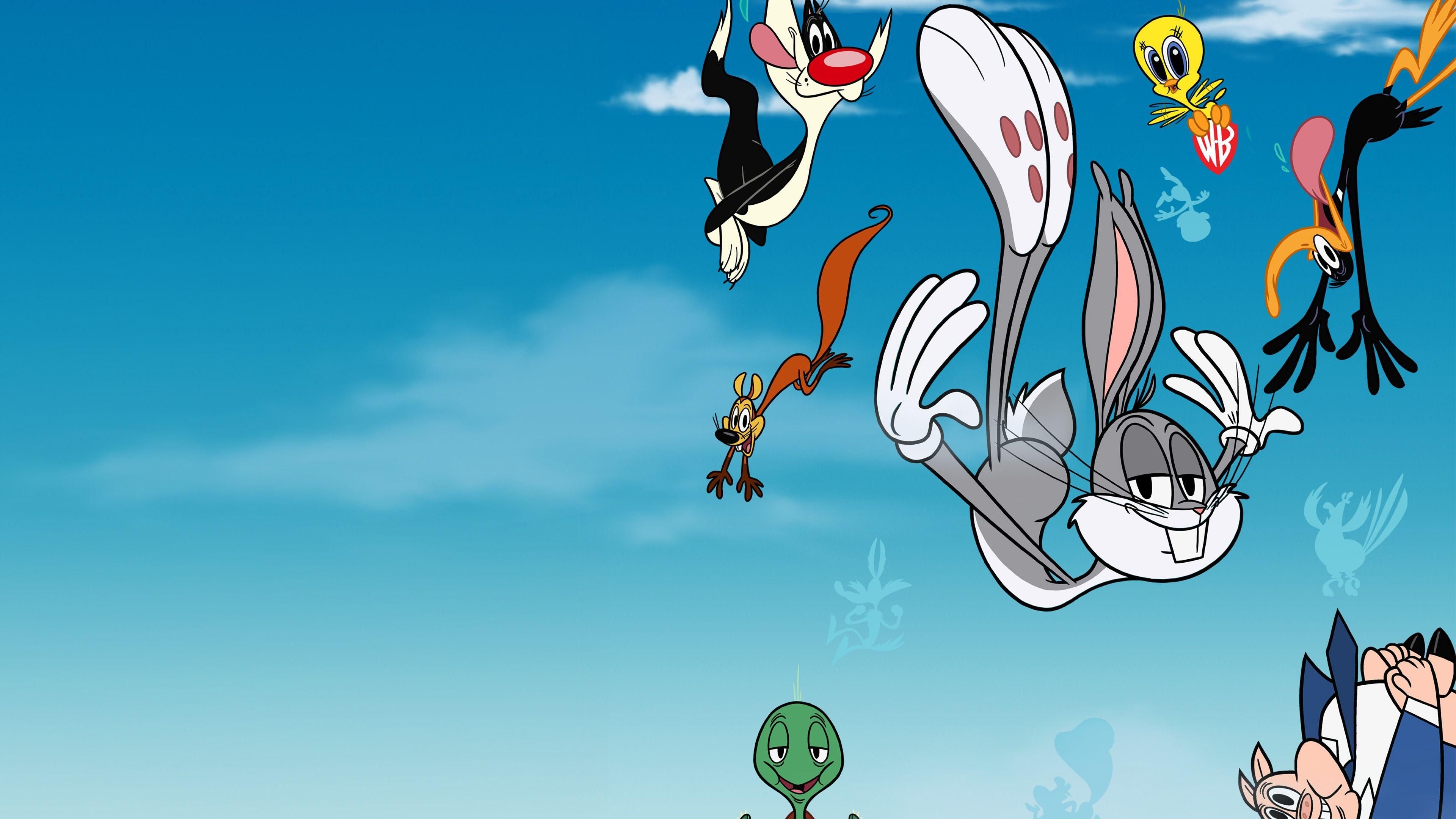 Die neue Looney Tunes Show