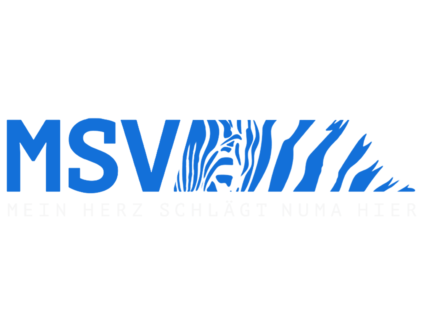 MSV - Mein Herz schlägt numa hier