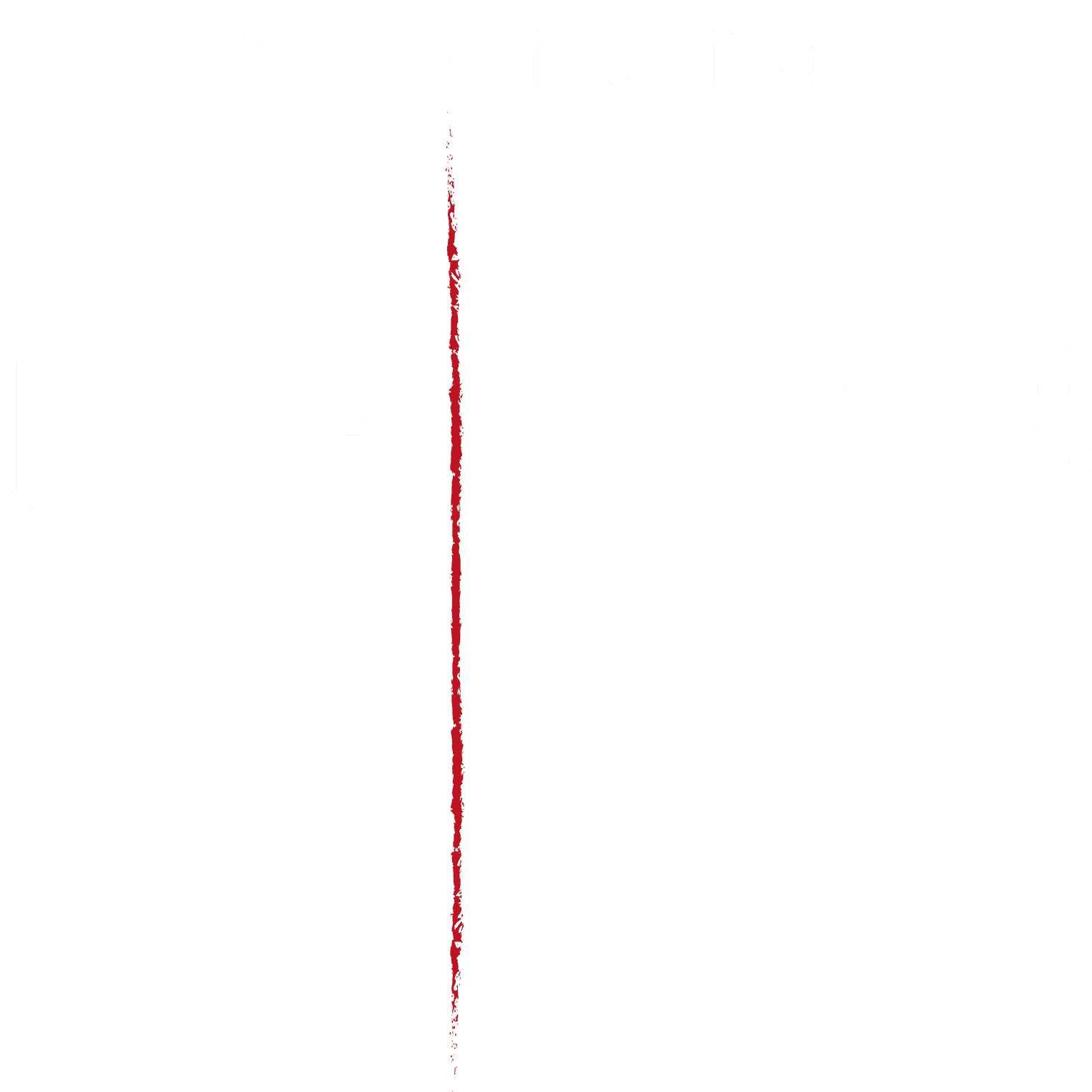 Der Pass