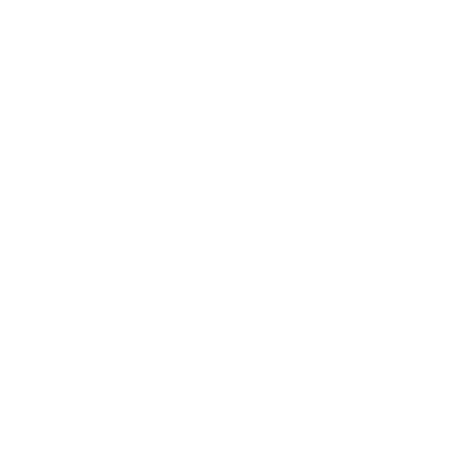 Niko Samsonidse - "Golden Boy" der MMA