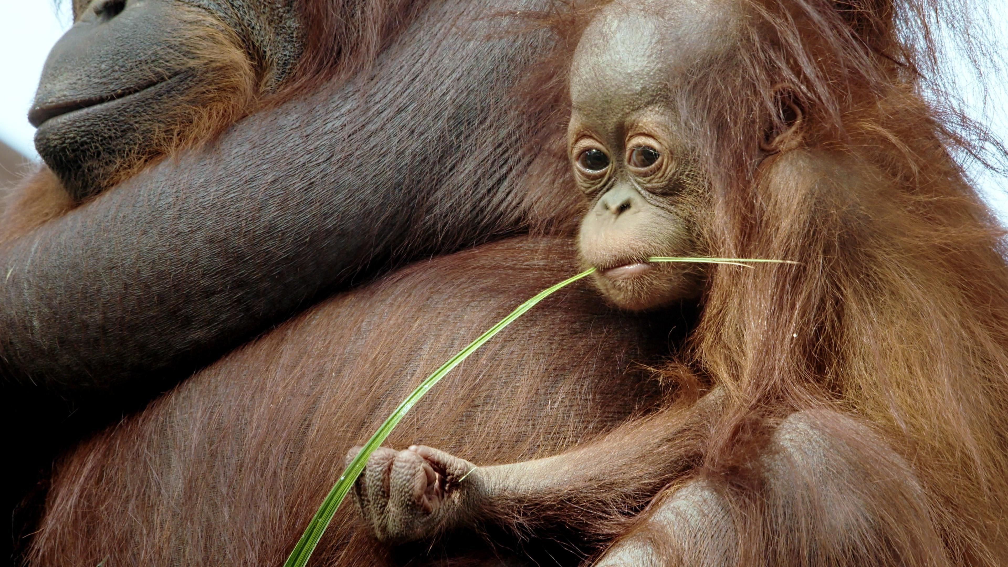 Hotspots der Tierwelt