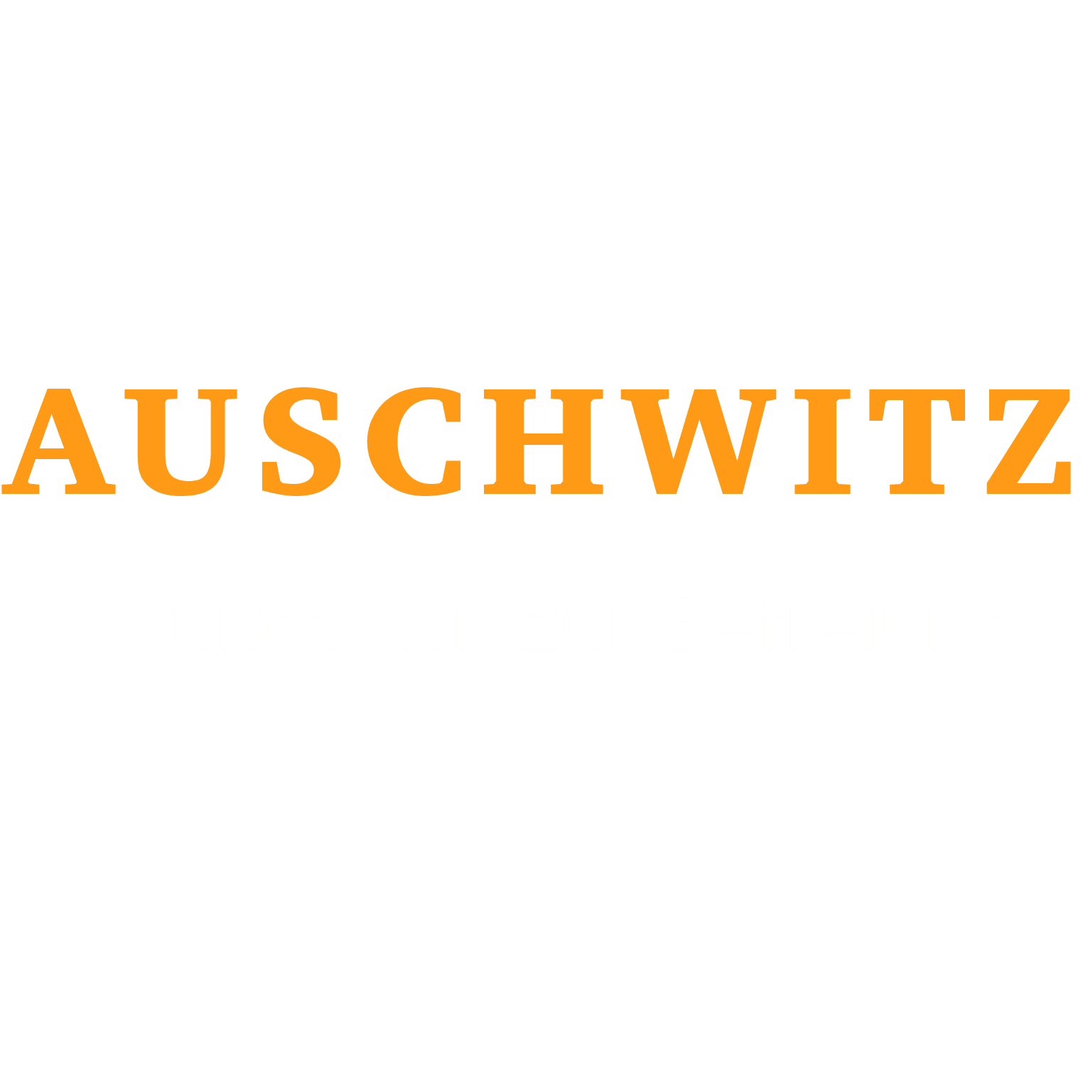Auschwitz - Countdown zur Befreiung