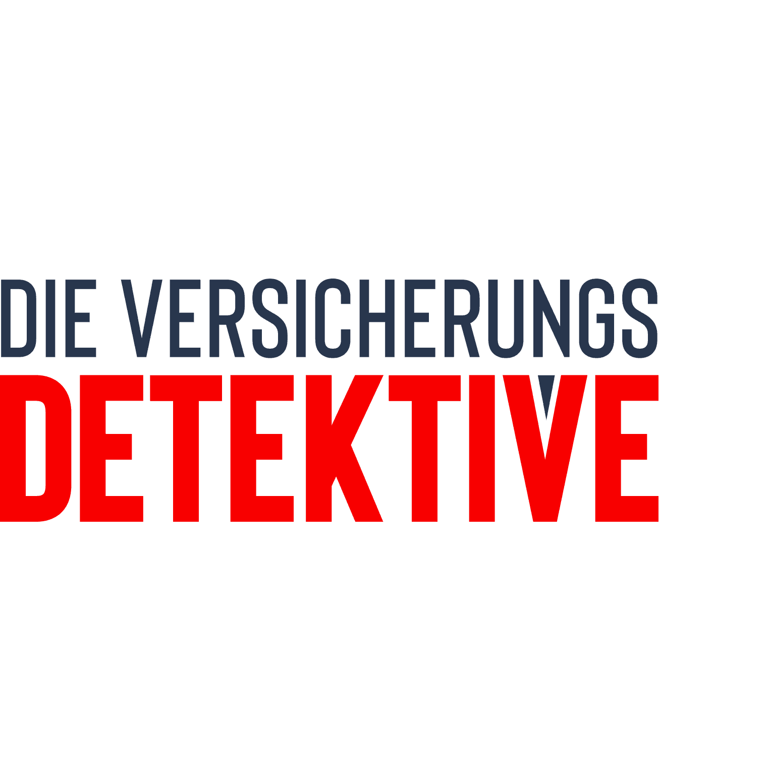 Die Versicherungsdetektive