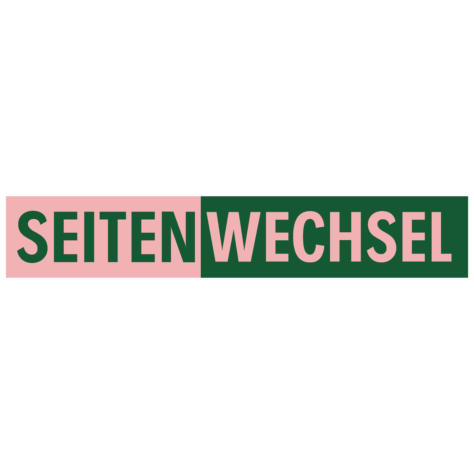 Seitenwechsel - Die Welt mit anderen Augen sehen