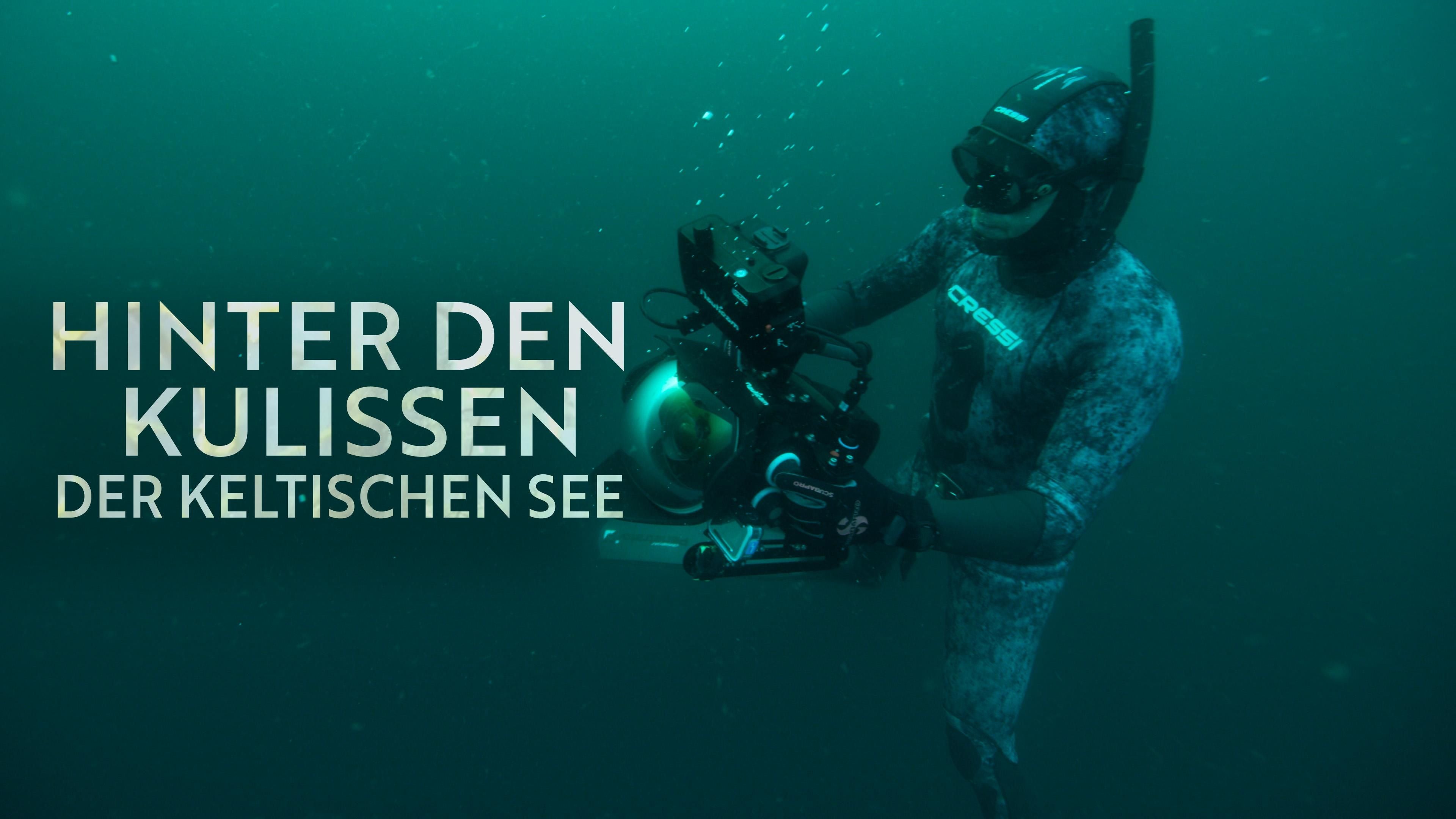 Hinter den Kulissen der Keltischen See