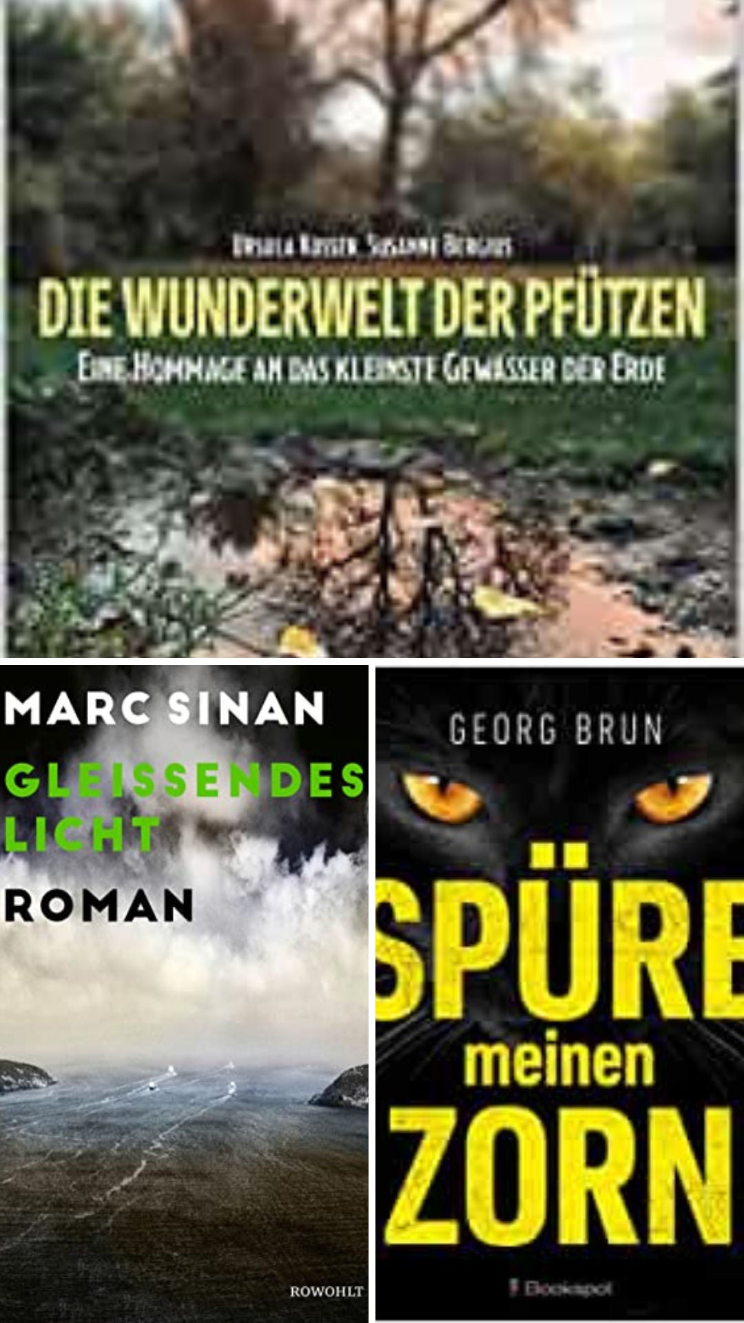 (108) Spüre den Zorn: Gleißendes Licht in der Pfütze!