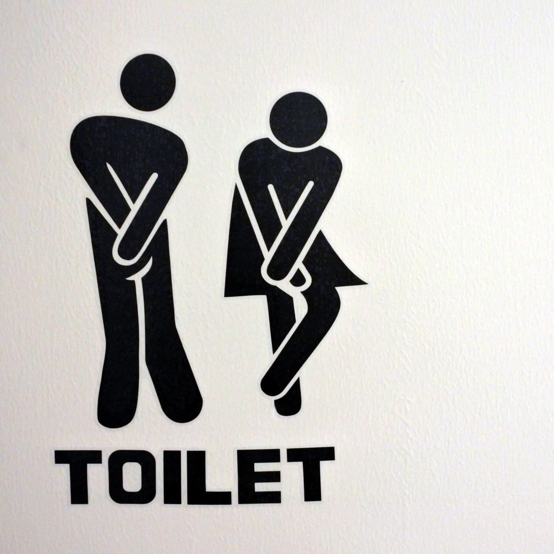 Kulturgeschichte der Toilette - Von der Latrine zum Washlet