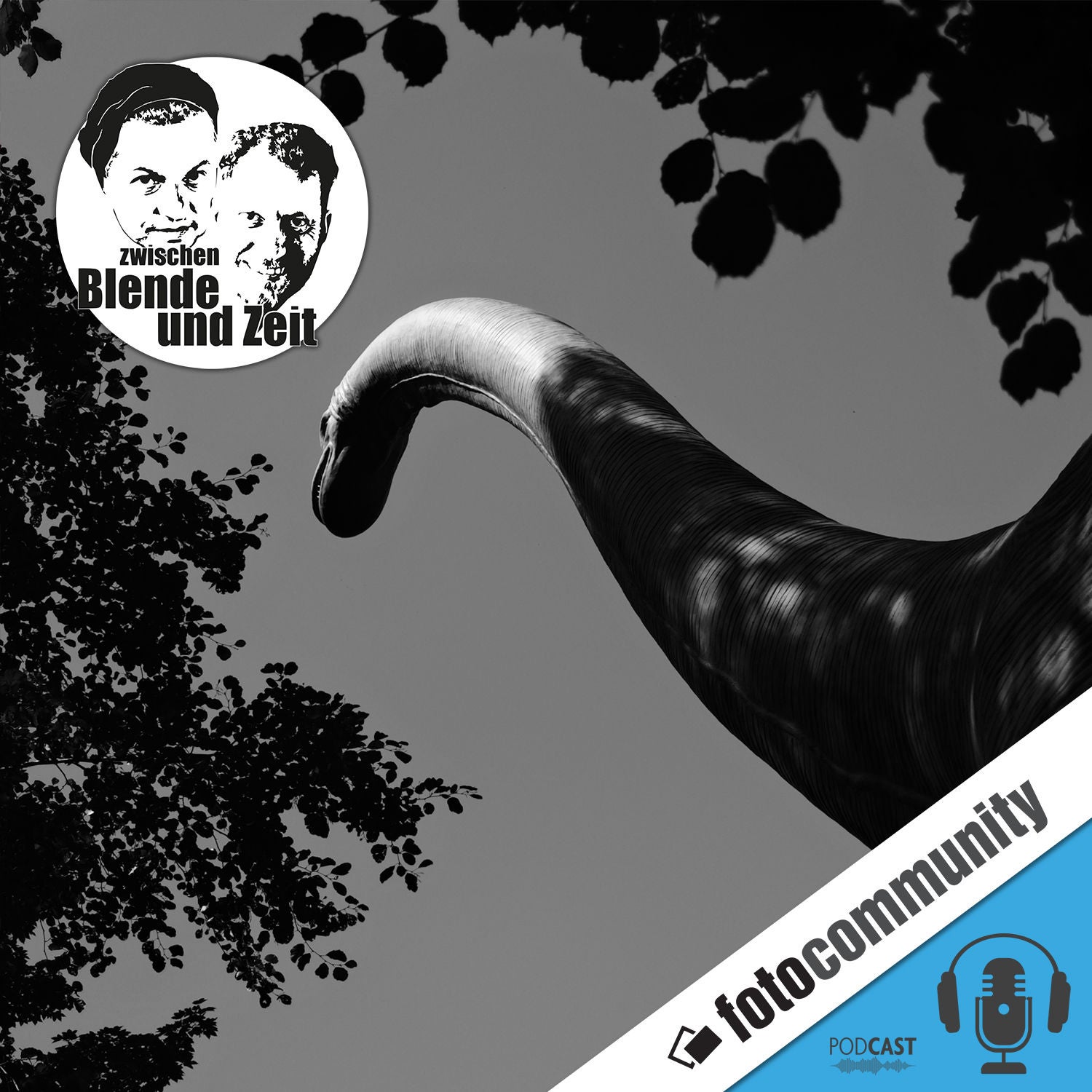 404 - Lars und Falk beantworten Eure Fragen!