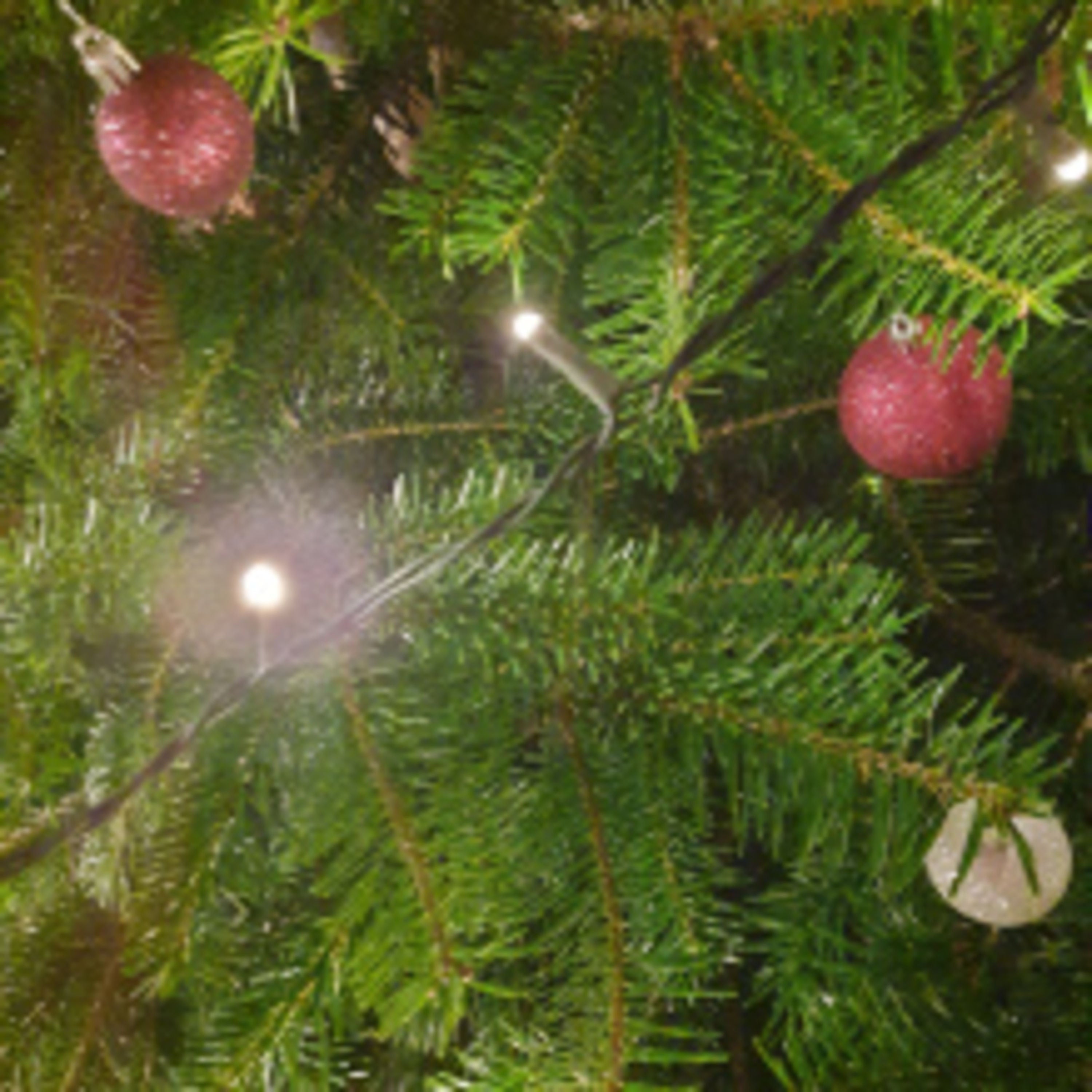 Weihnachten mit den Nerds 2020