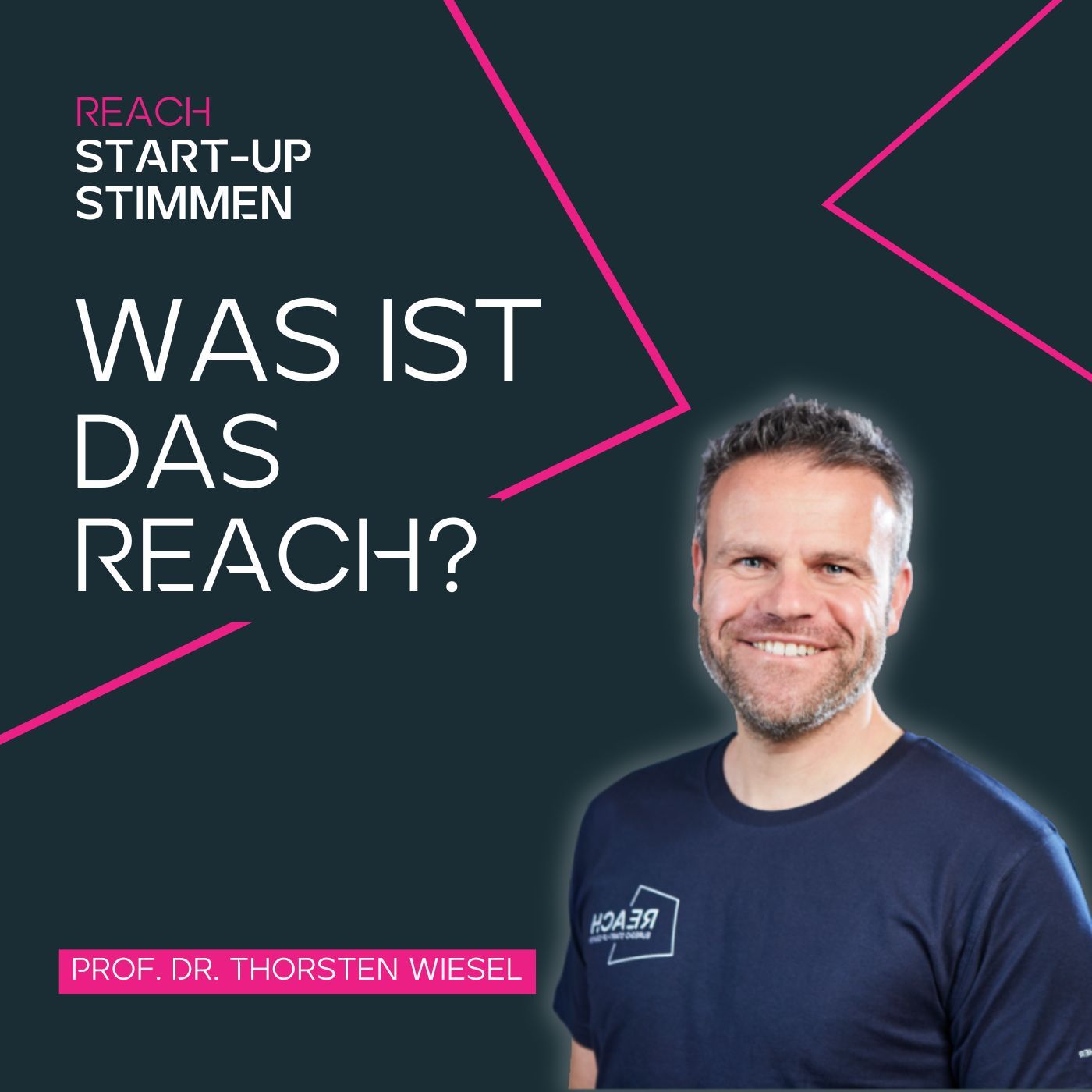 Was ist das REACH?