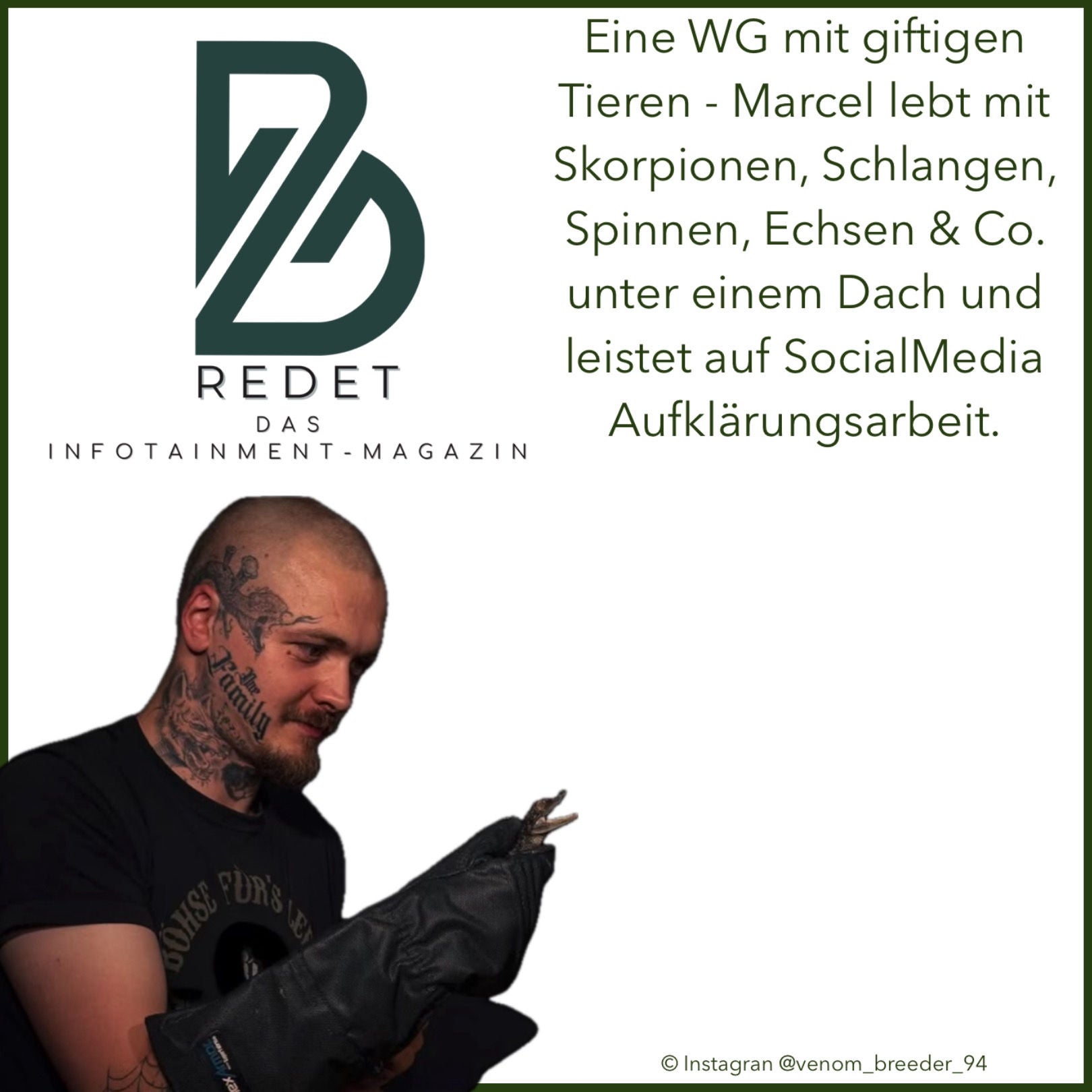 Ein Leben mit giftigen Echsen, Schlangen, Skorpionen und Spinnen - Marcel ist der "venom breeder"