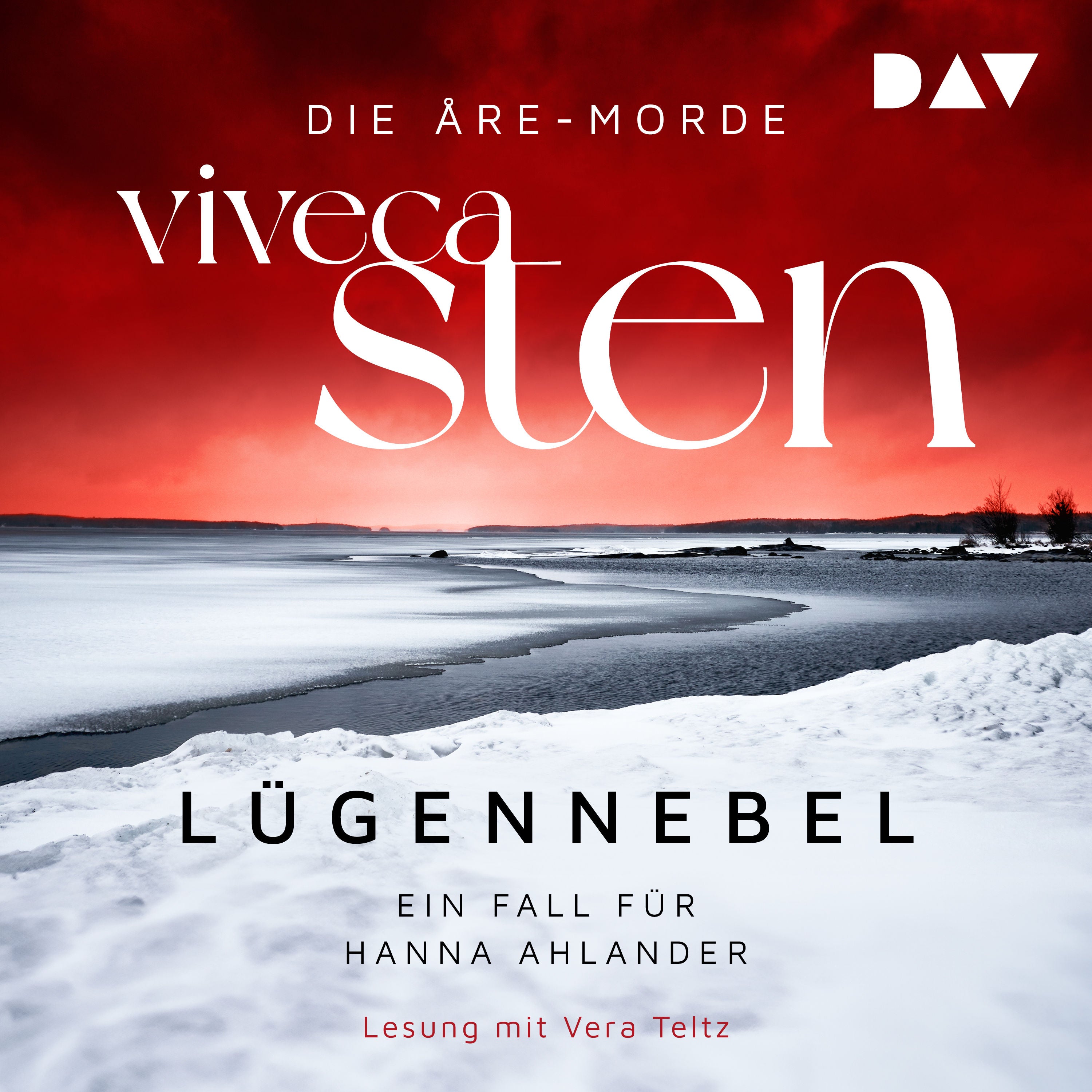 Lügennebel. Ein Fall für Hanna Ahlander