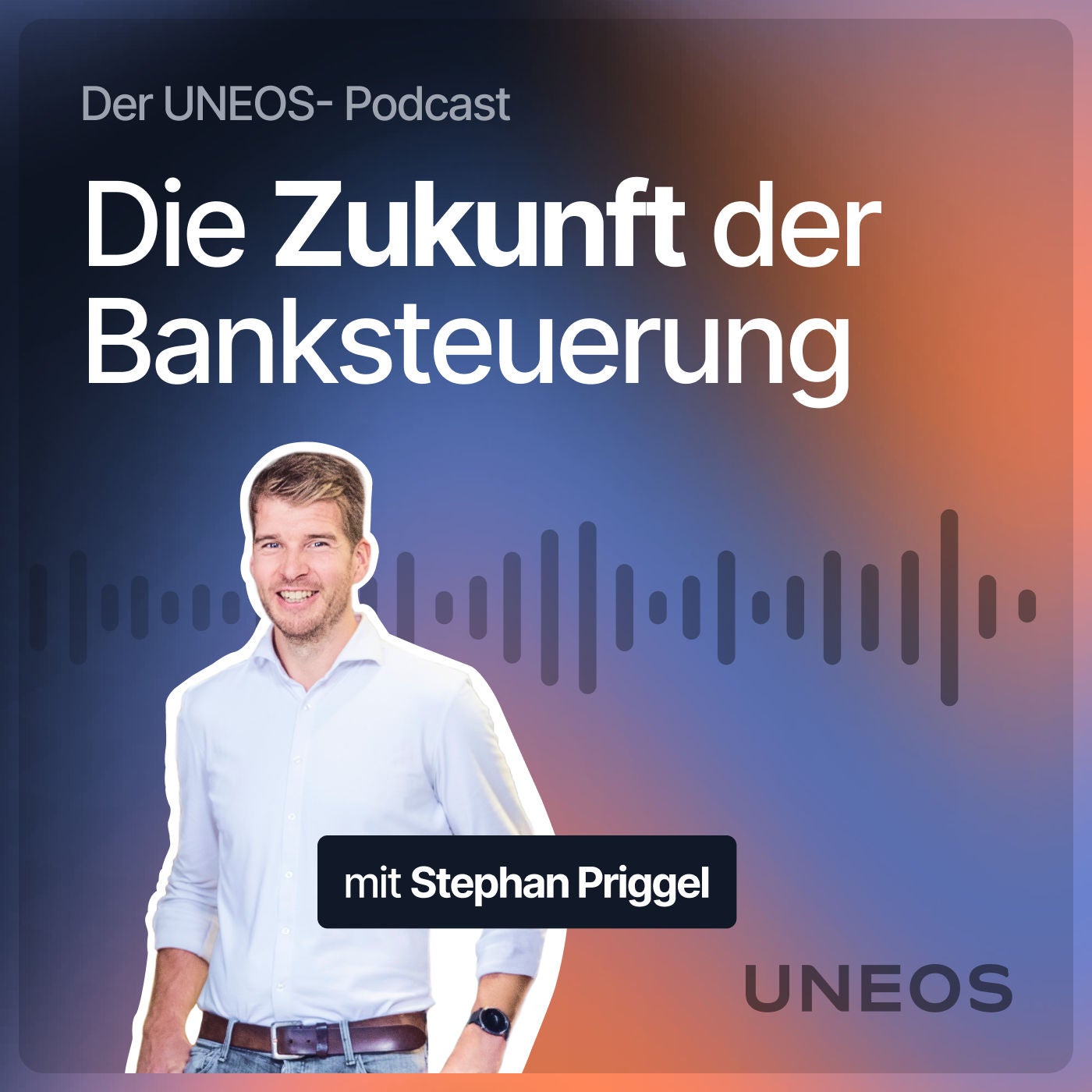 Friedemann Kammler: Wann kommt die KI-Wende in der Banksteuerung? #5