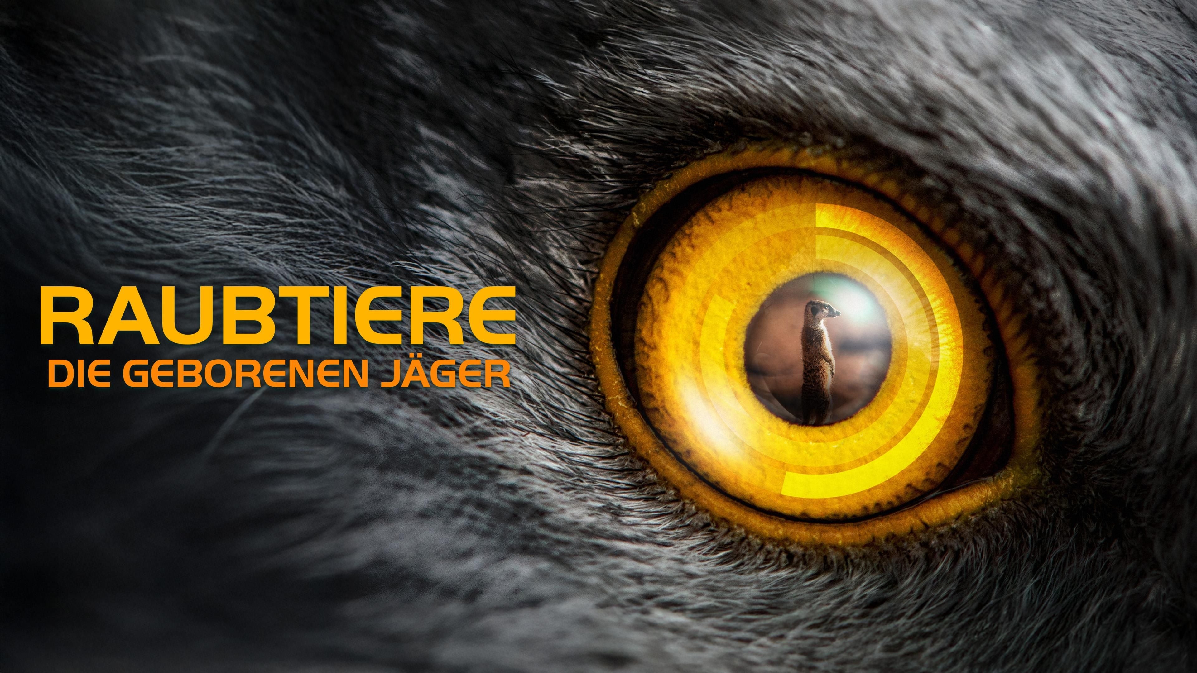 Raubtiere - Die geborenen Jäger