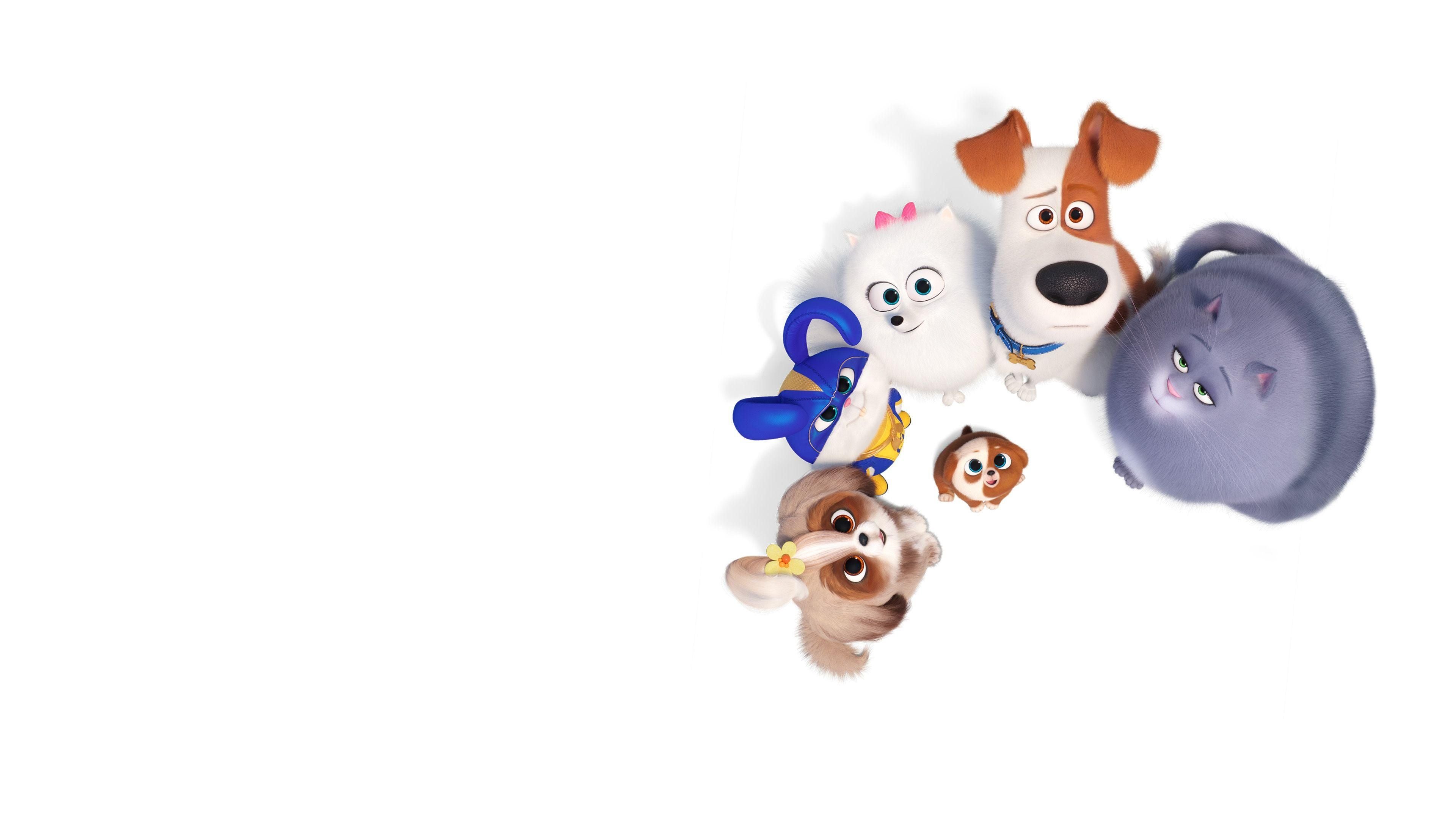 Pets 2