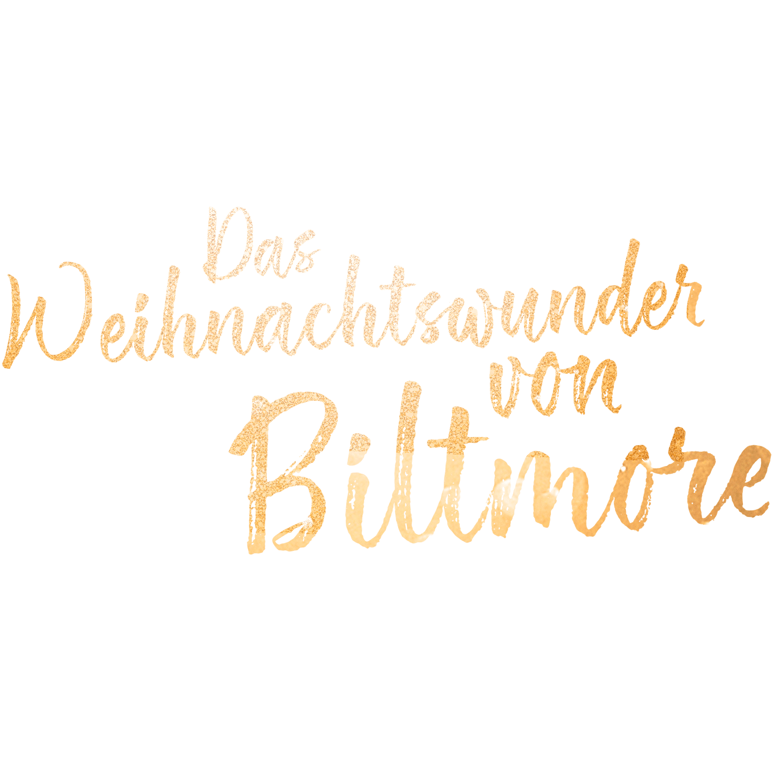 Das Weihnachtswunder von Biltmore
