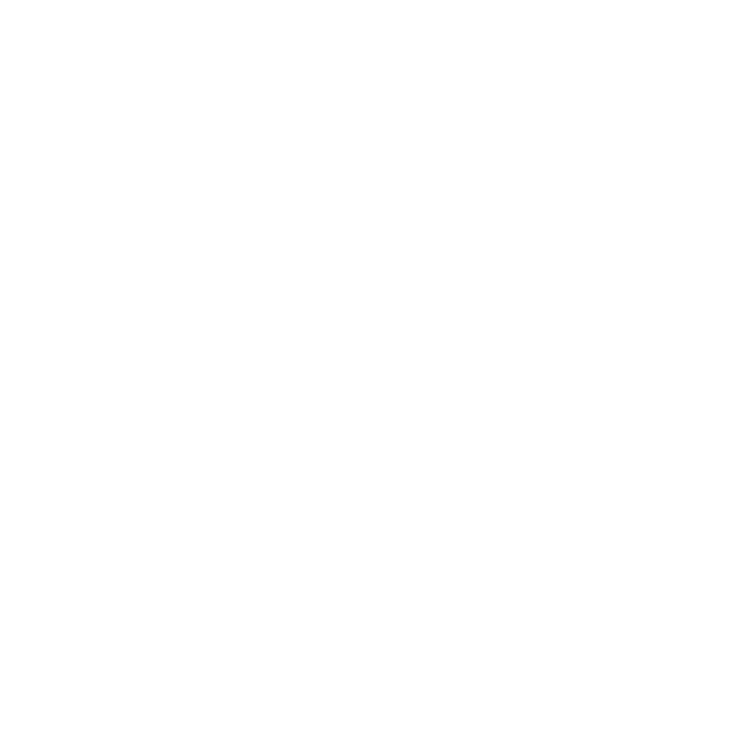 The Fast & the Furious