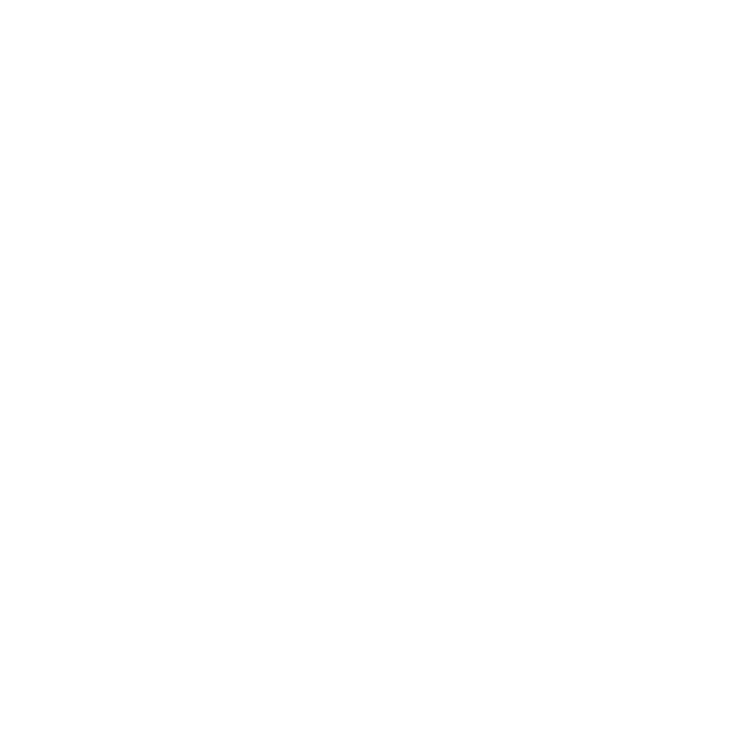 Ferdinand von Schirach - Strafe