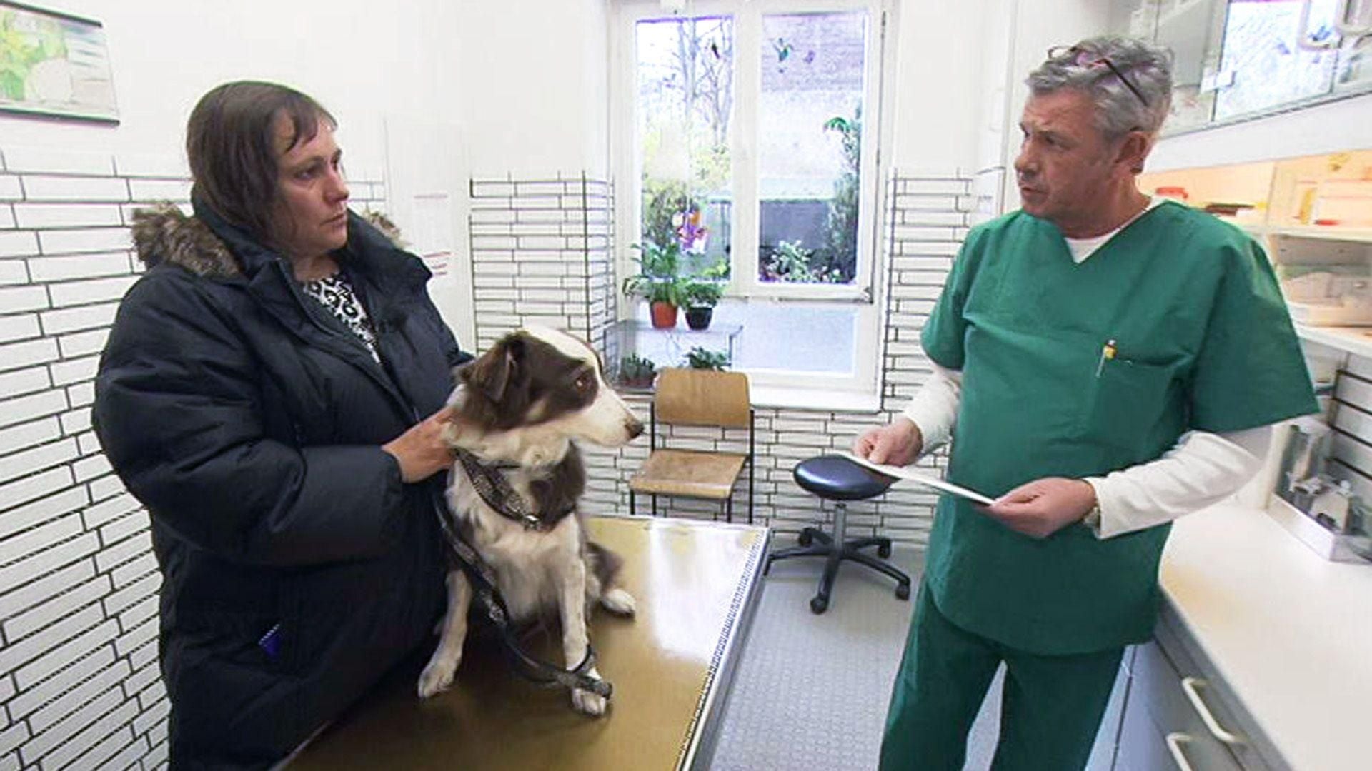 Tierverrückte Mutter will Hund liften lassen
